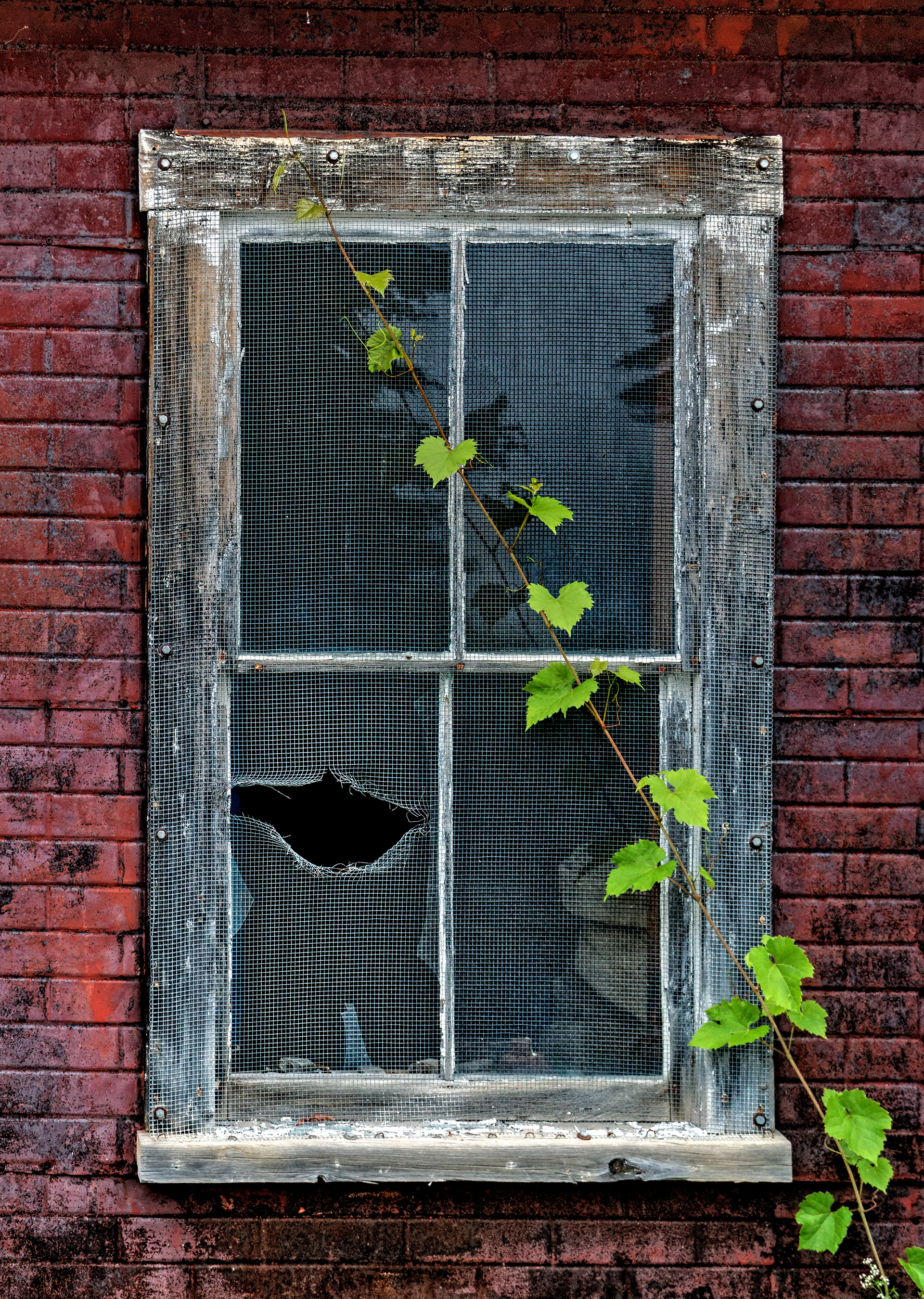 Old Window