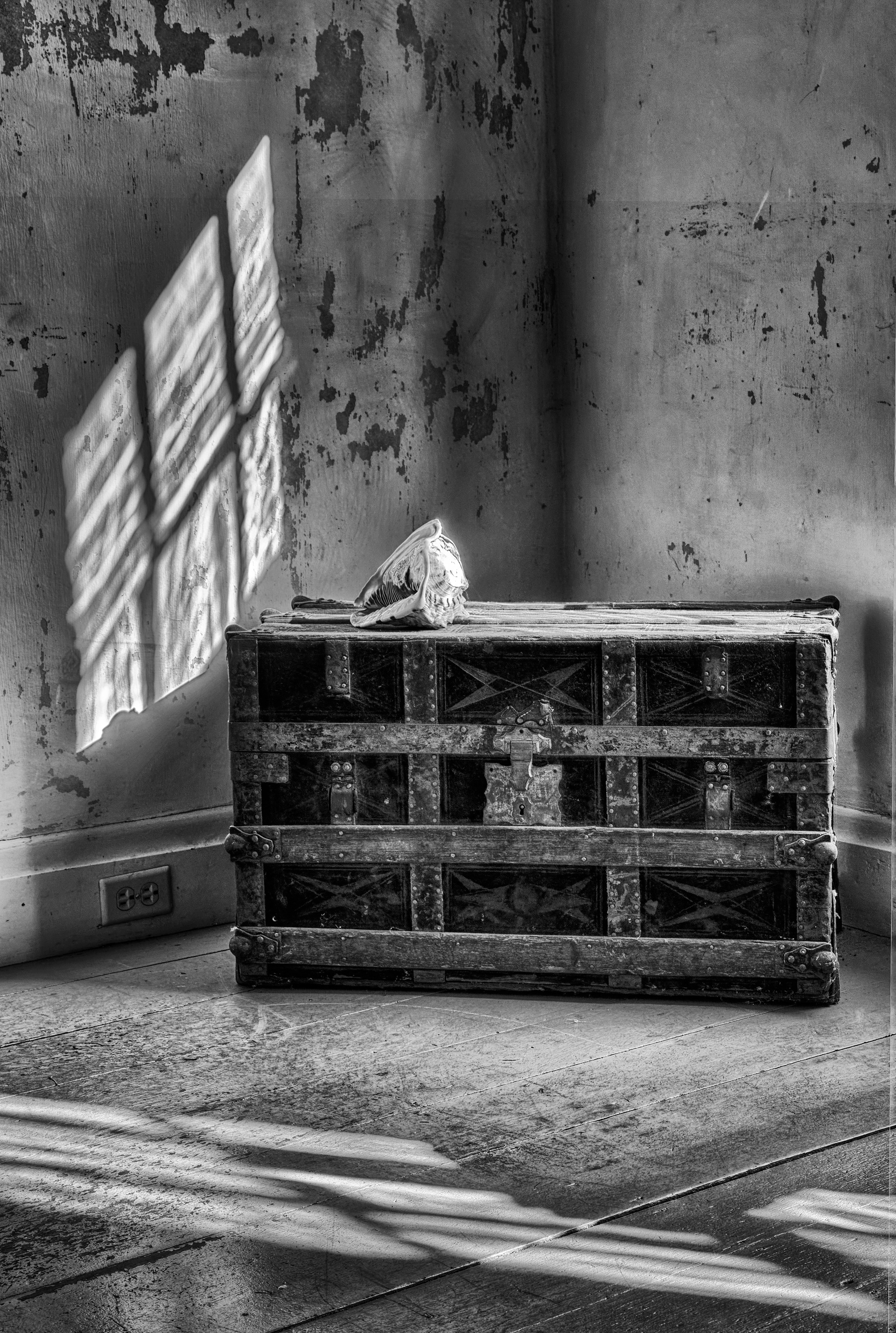 Old Trunk