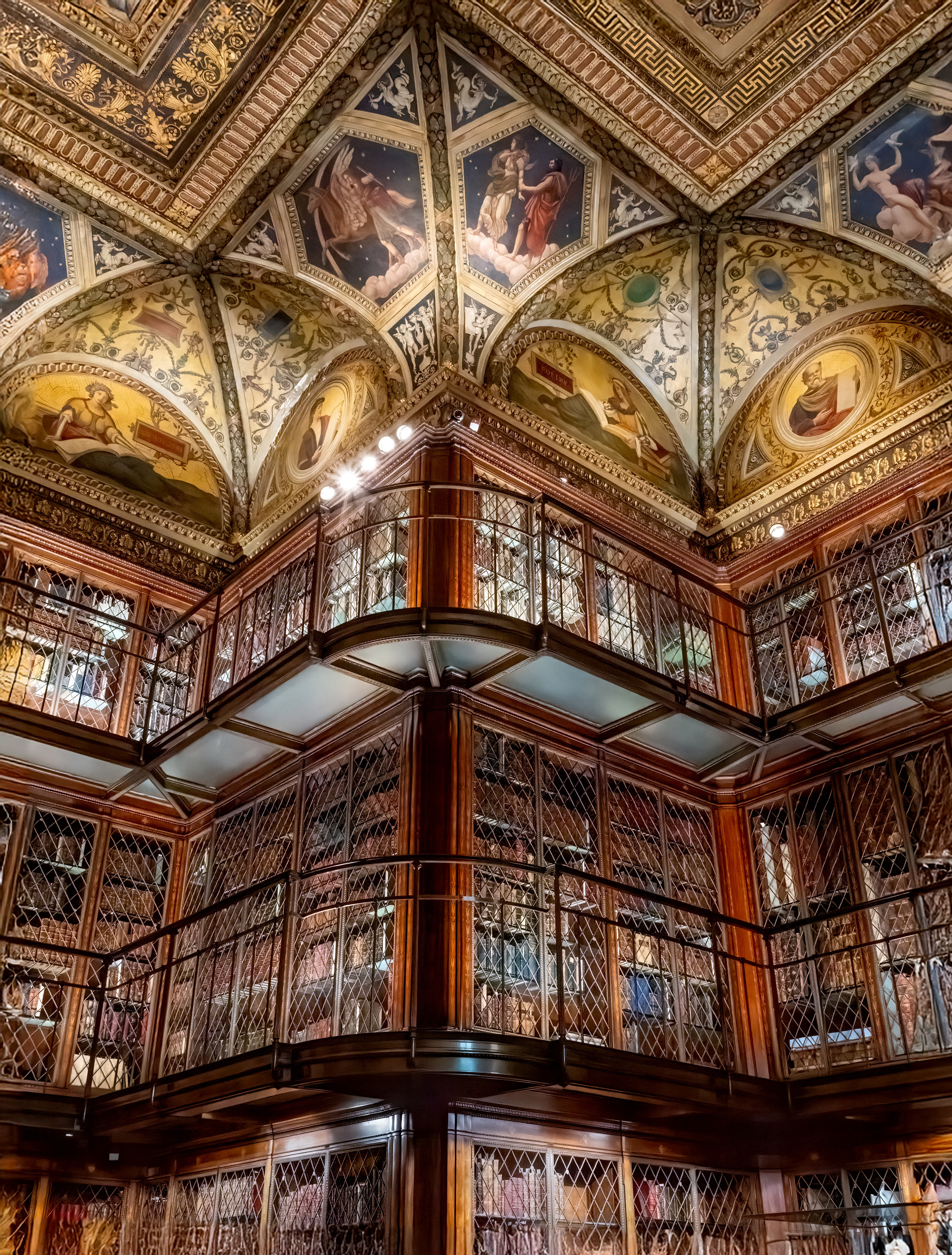 Library of My Dreams