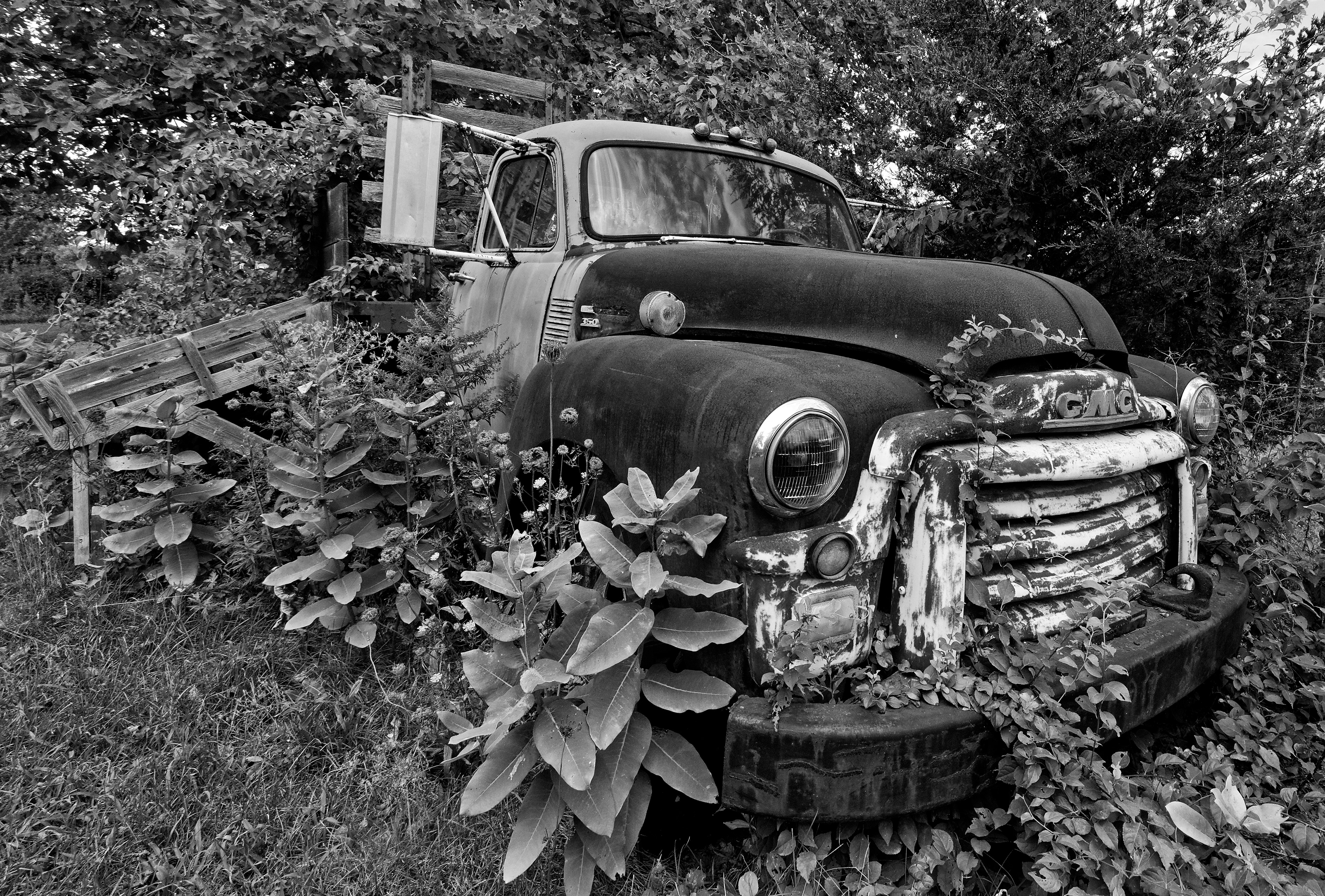 Back to Nature Version 2