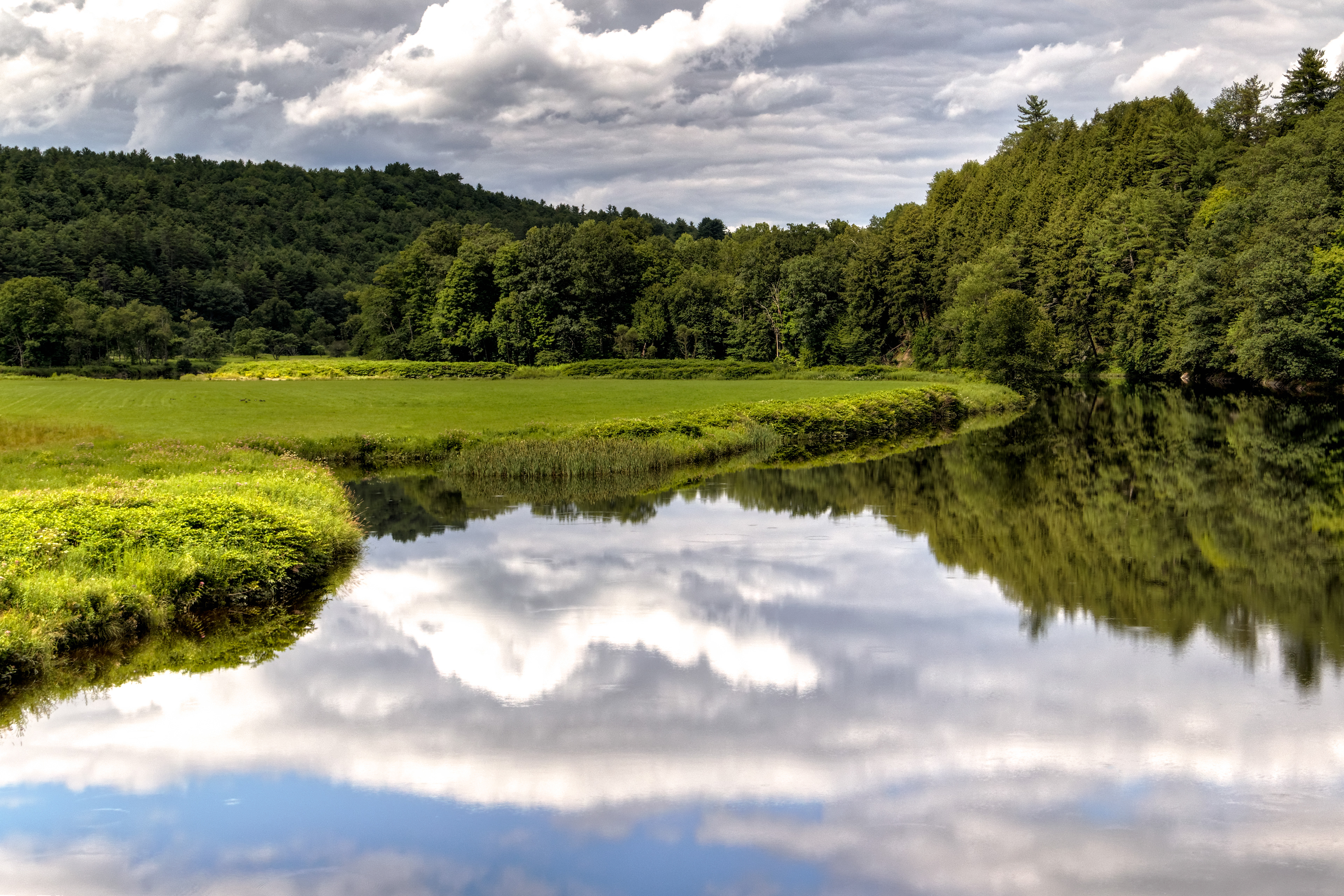Reflections on a Summer Afternoon