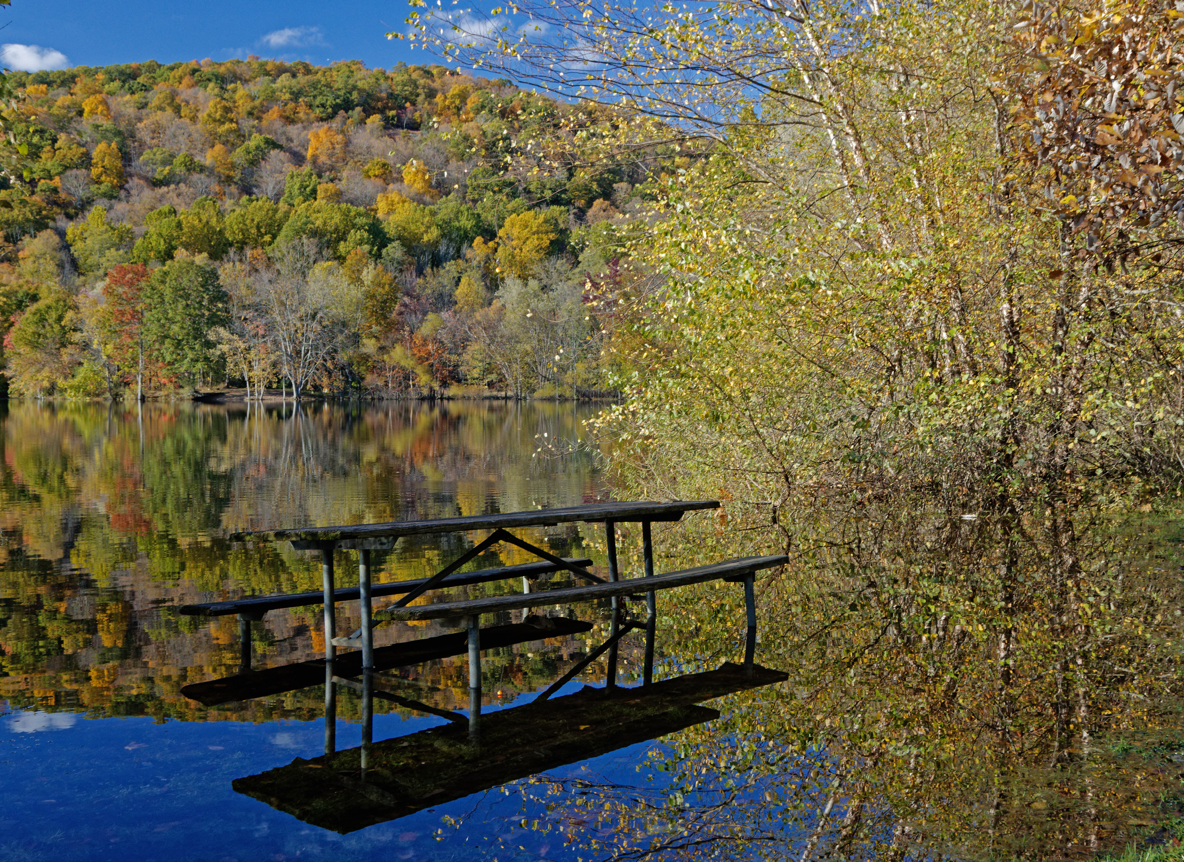 Water-bound Reflections