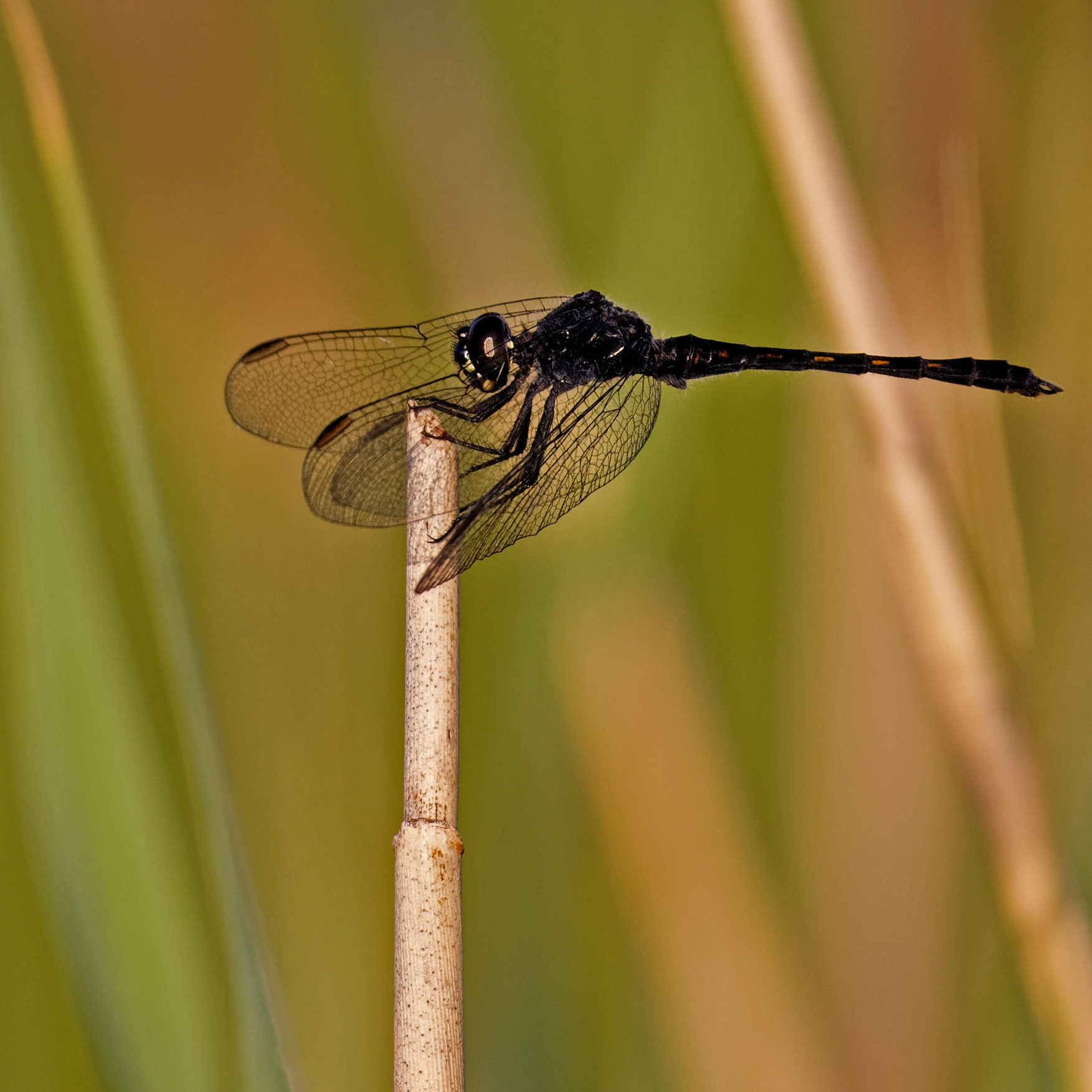 Hanging On