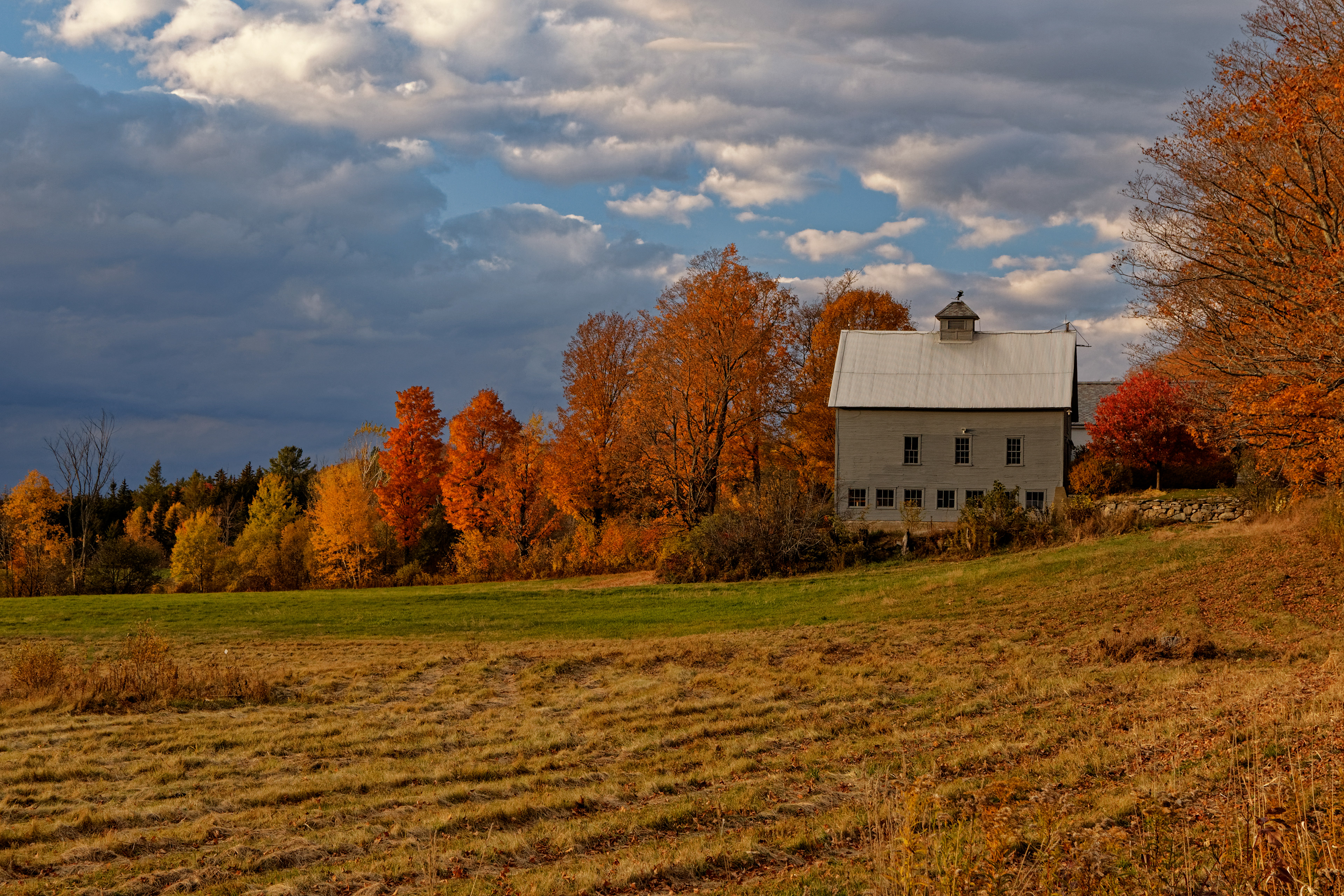 Vermont View