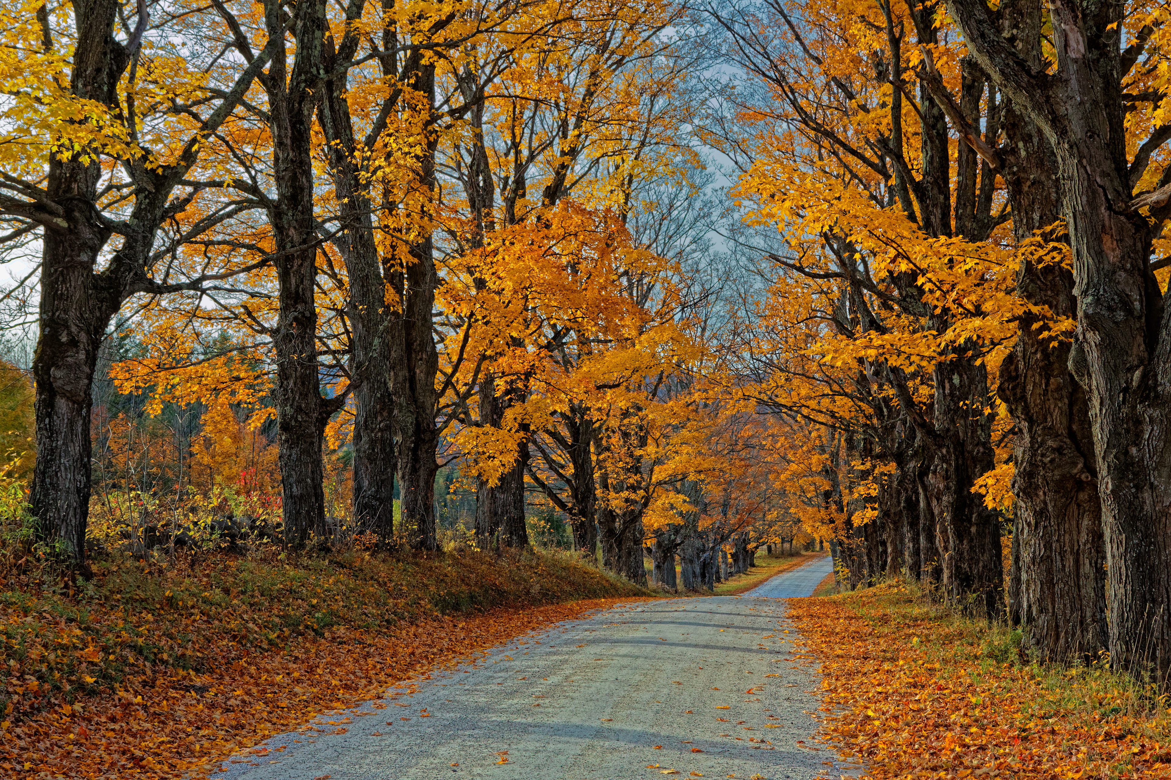 The Road Not Taken