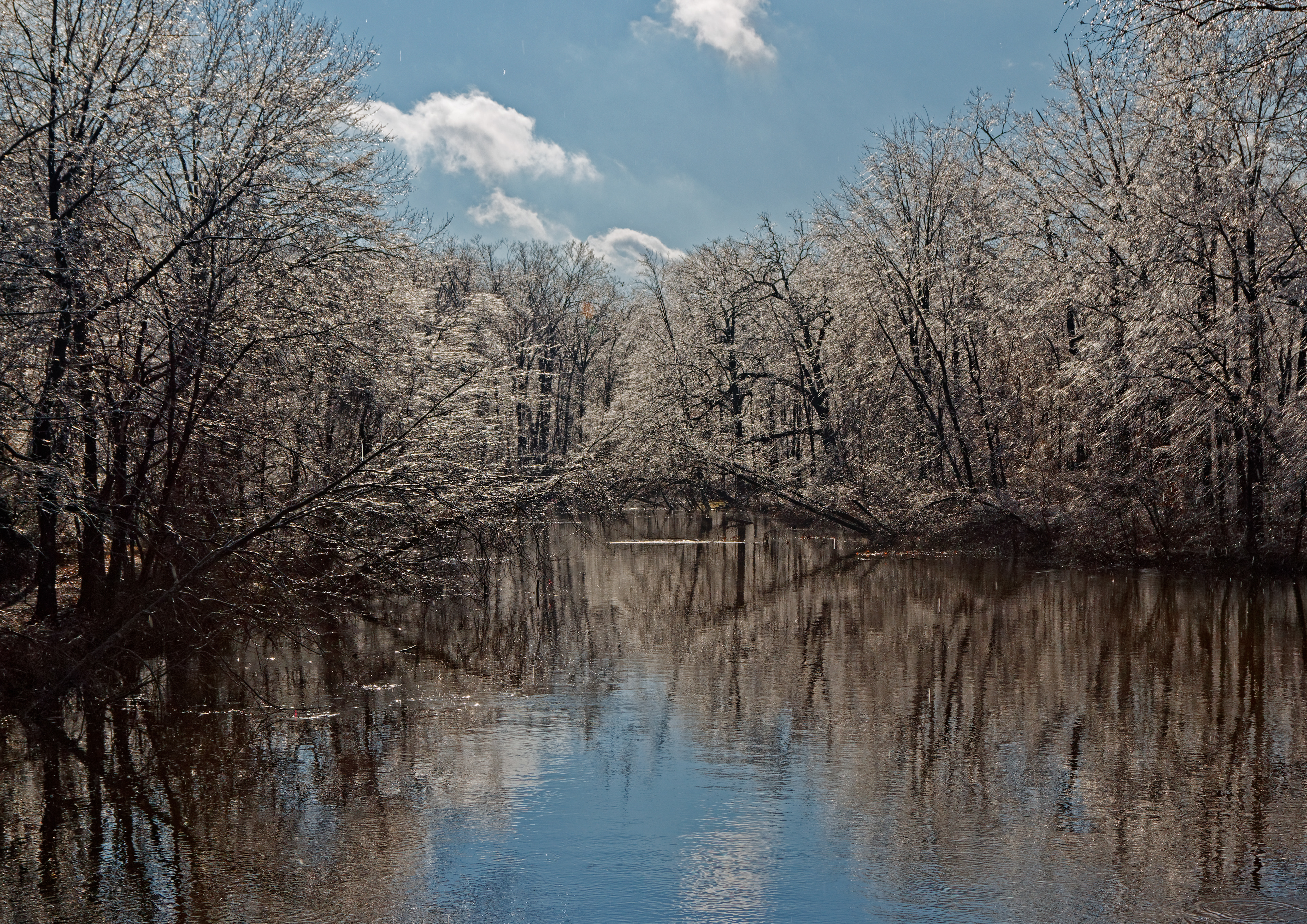 An Icy Morning