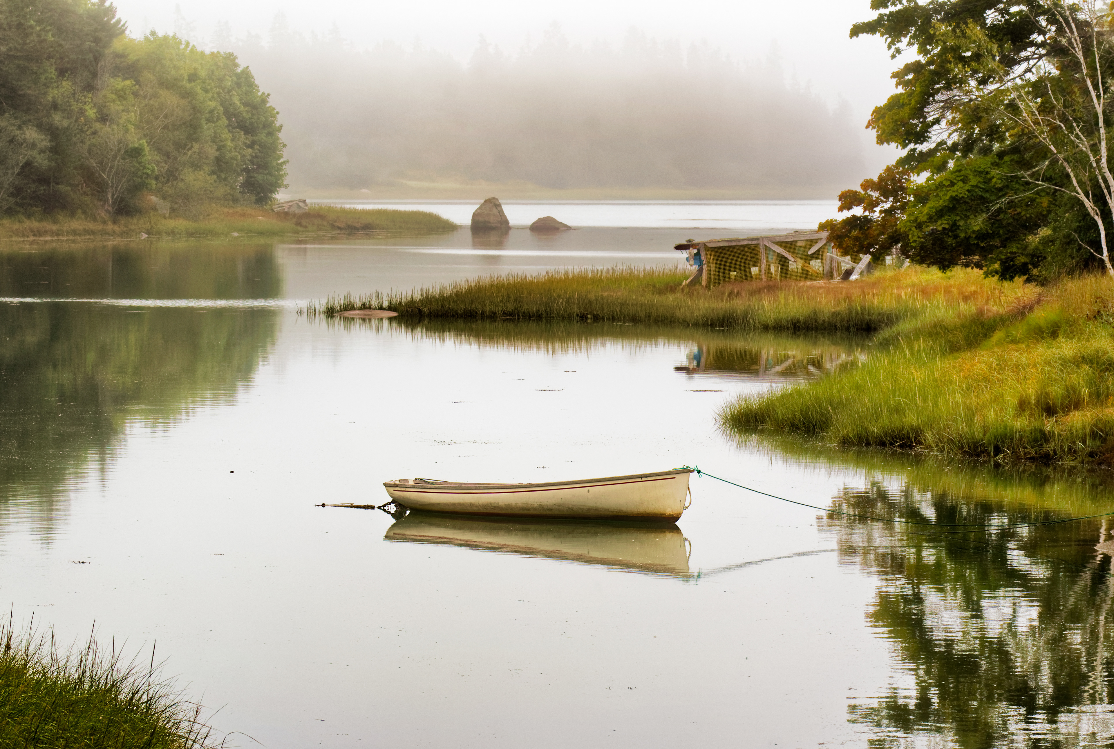 A Foggy Morning in Maine