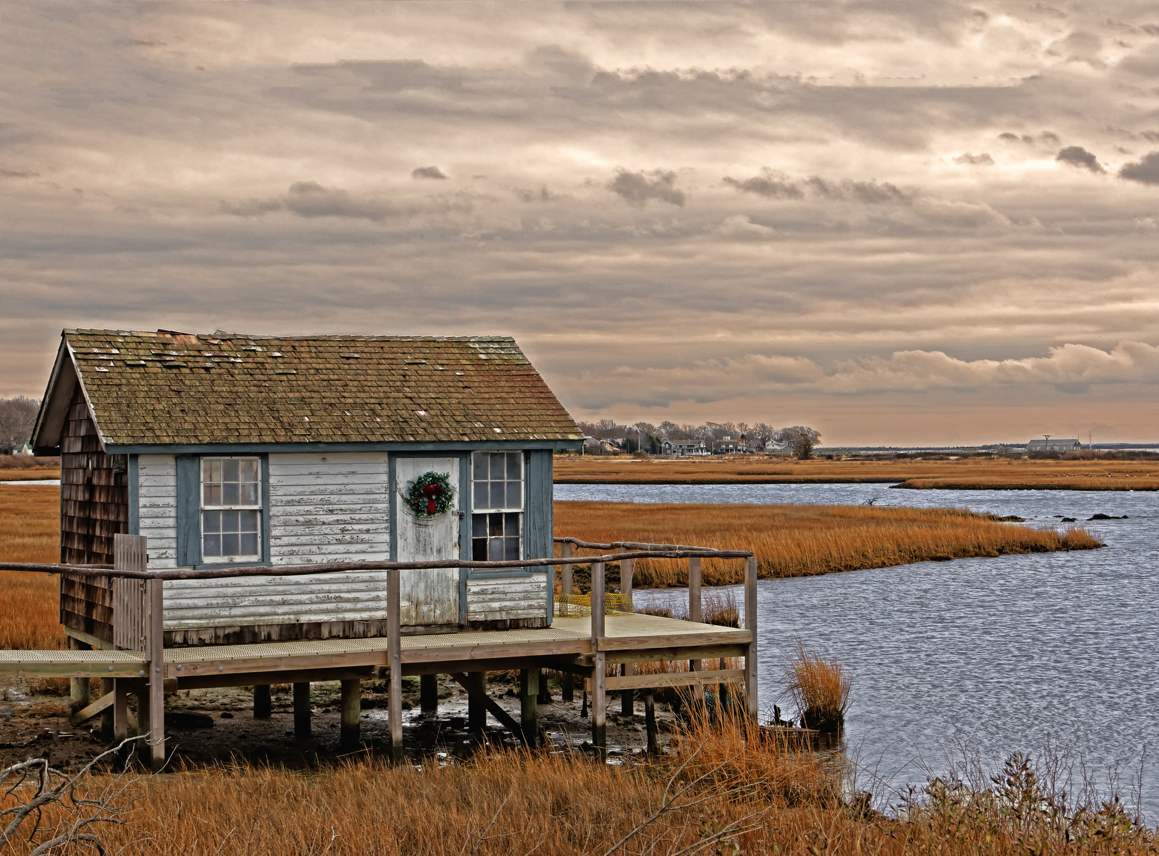 Scallop Shack