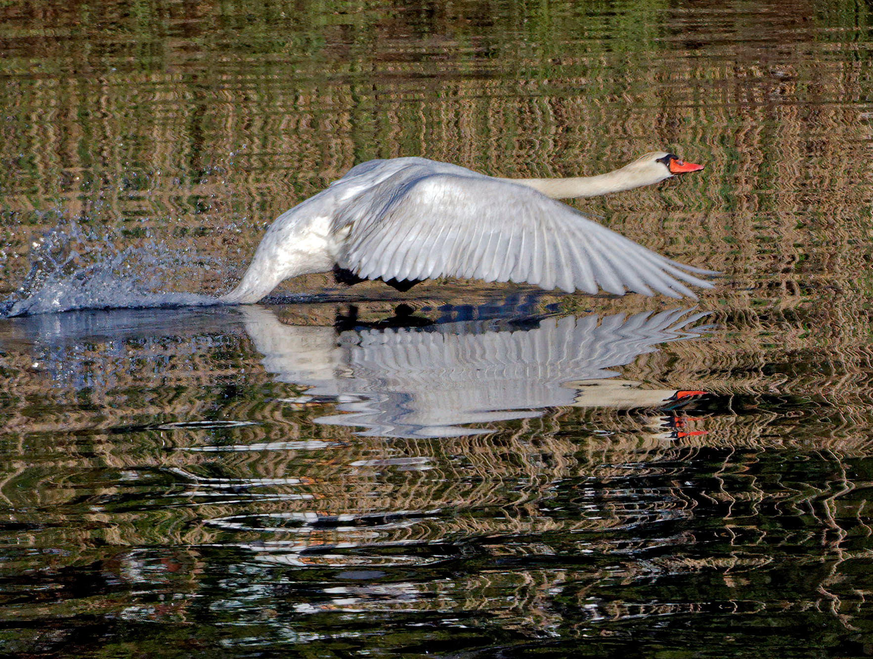 Taking Off