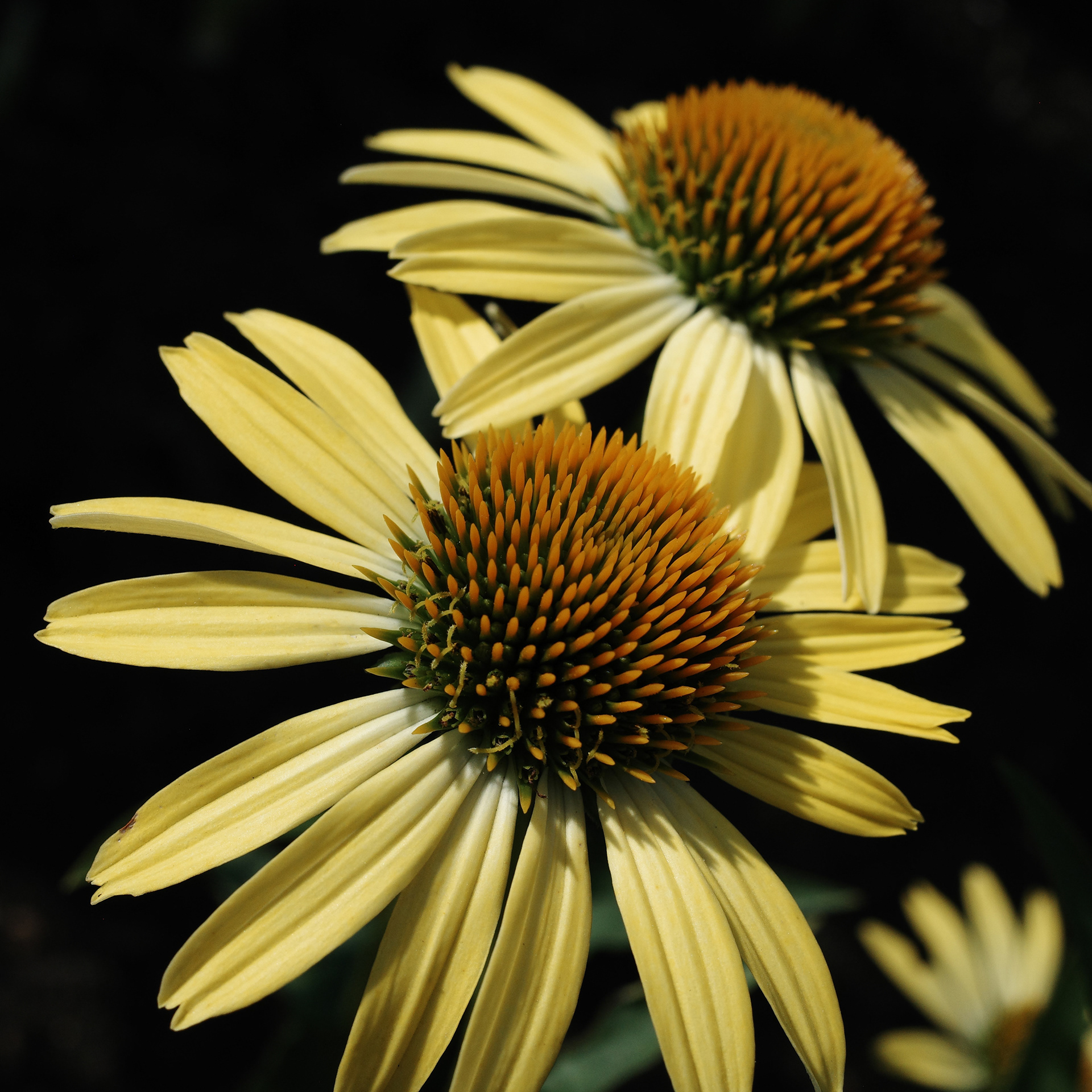 Newport Beach, California