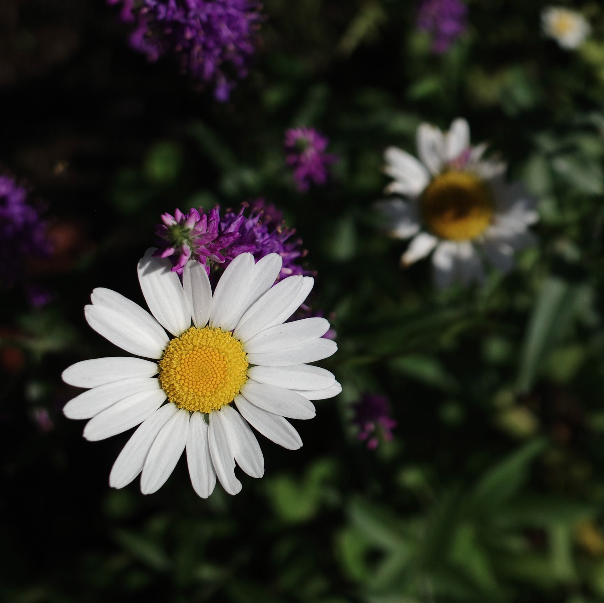 Newport Beach, California