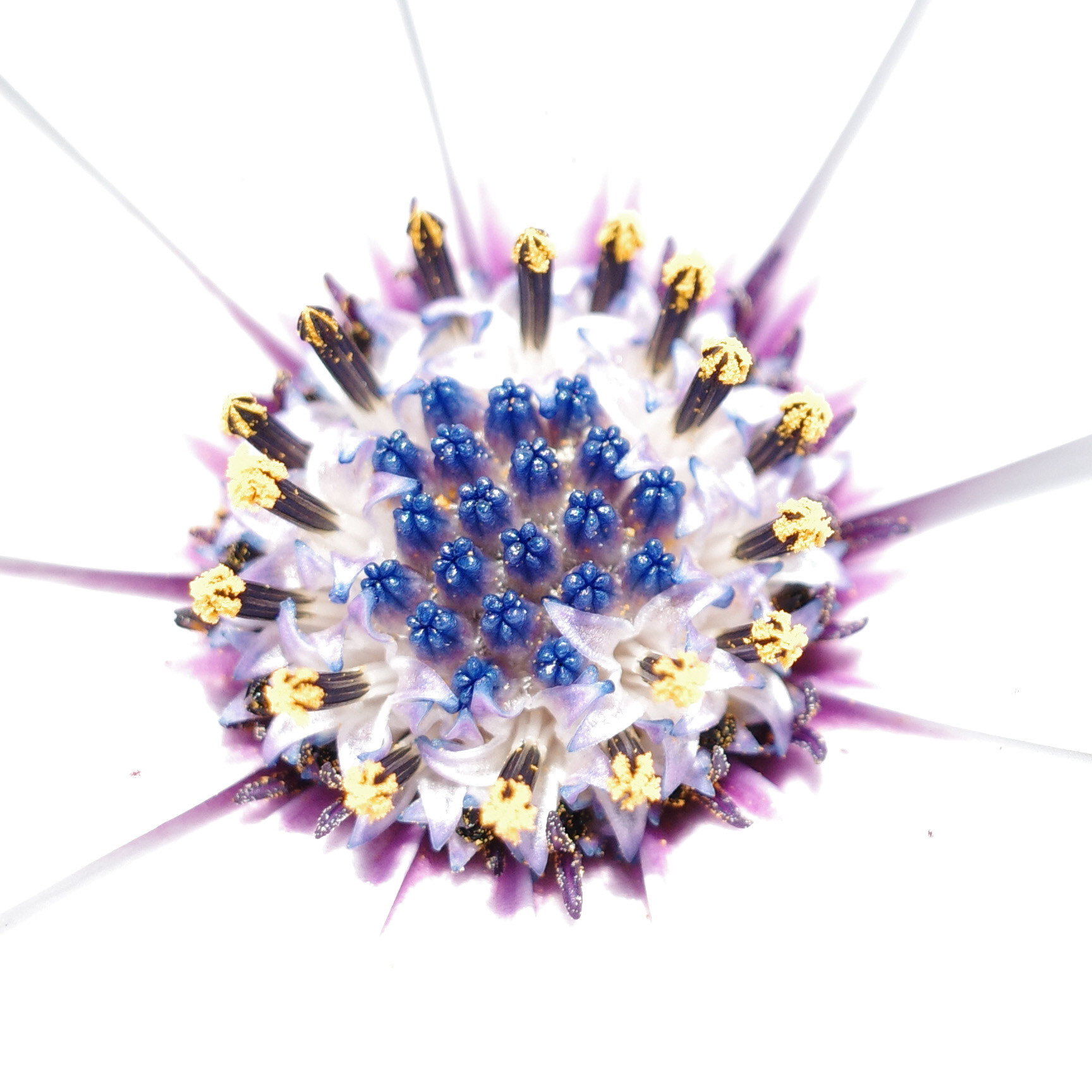 Newport Beach, California