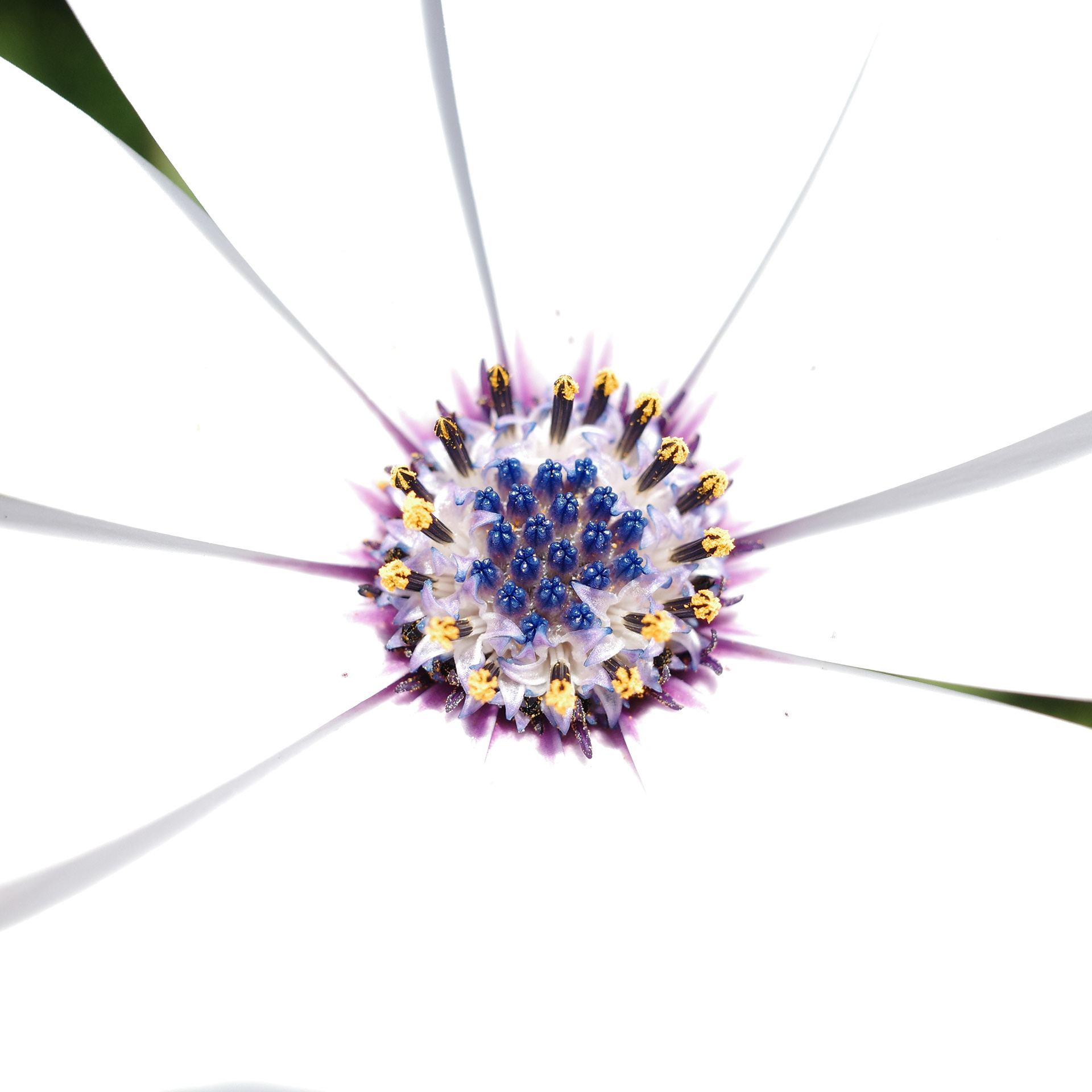 Newport Beach, California