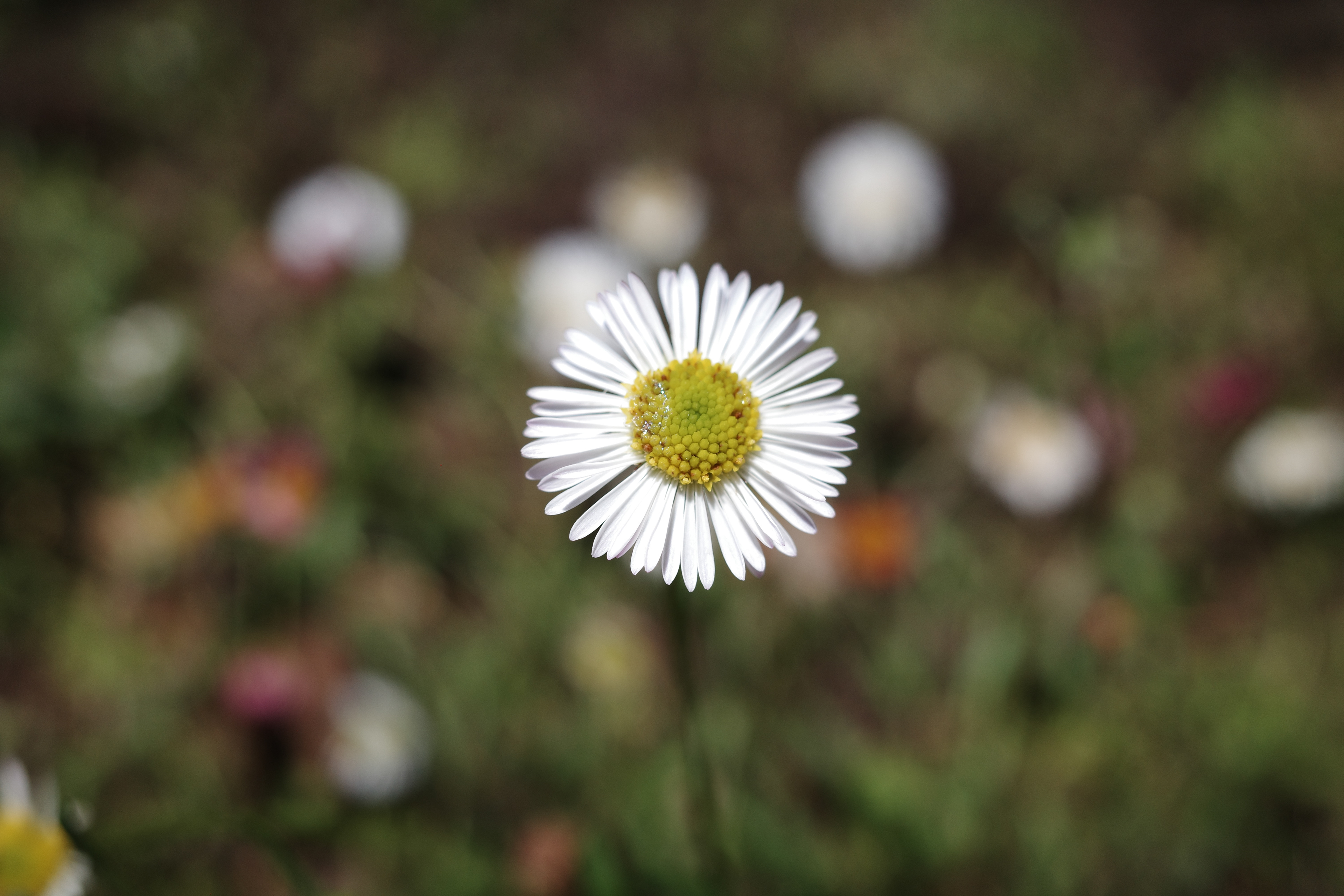 Newport Beach, California