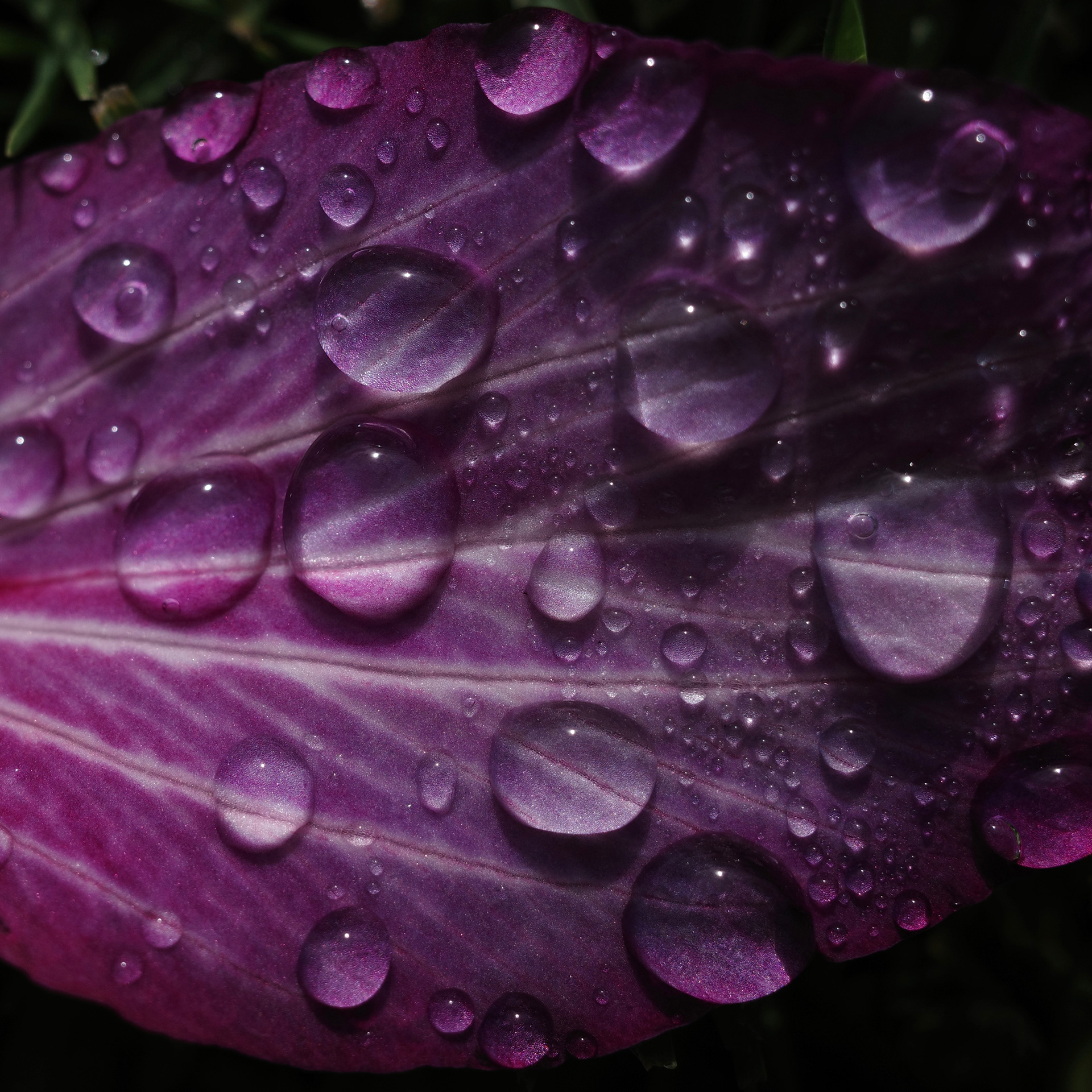 Newport Beach, California