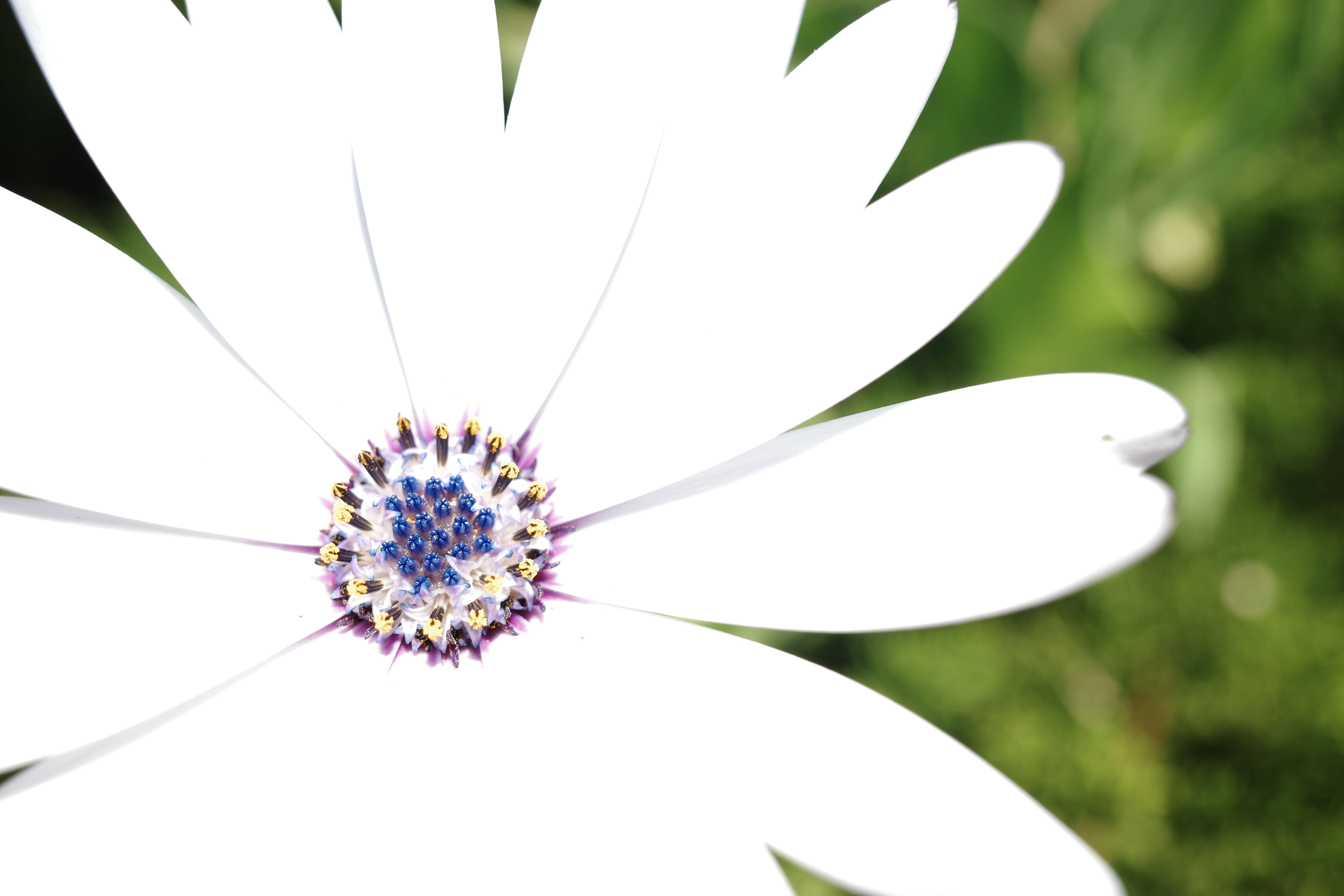 Newport Beach, California