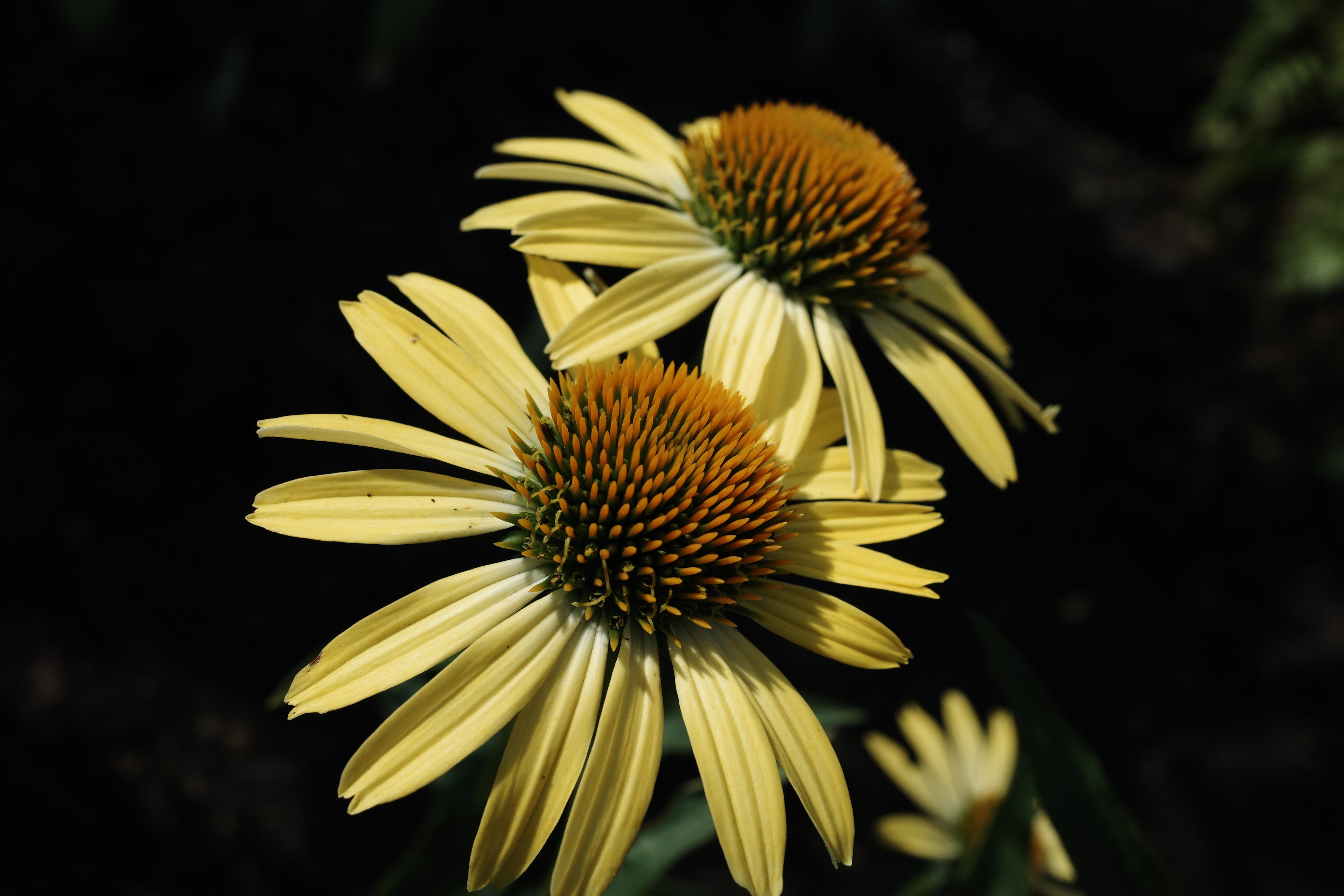 Newport Beach, California