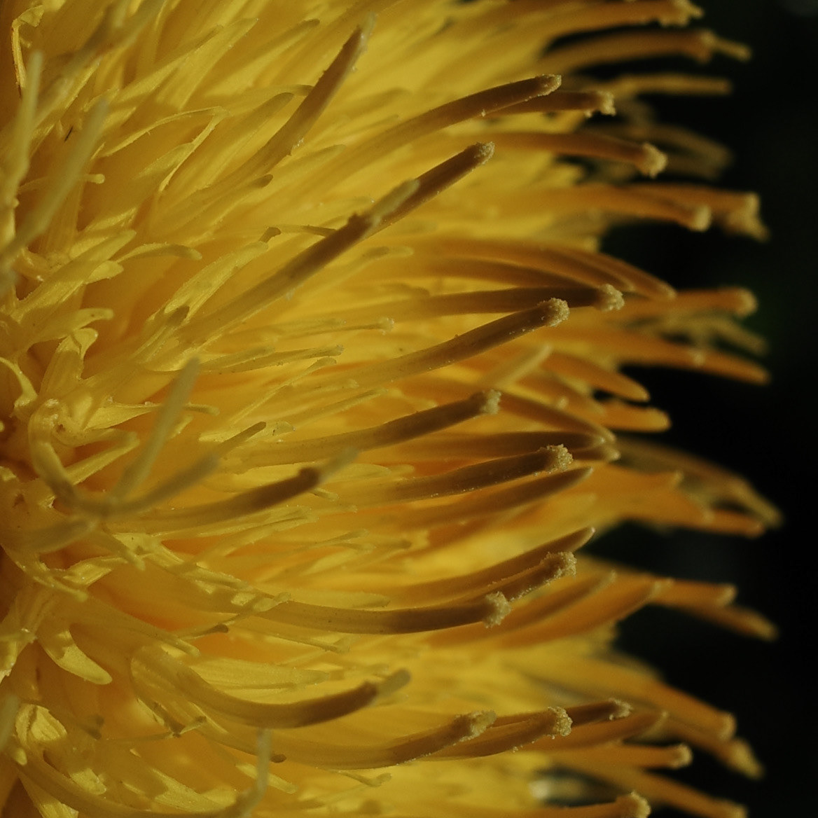 Newport Beach, California