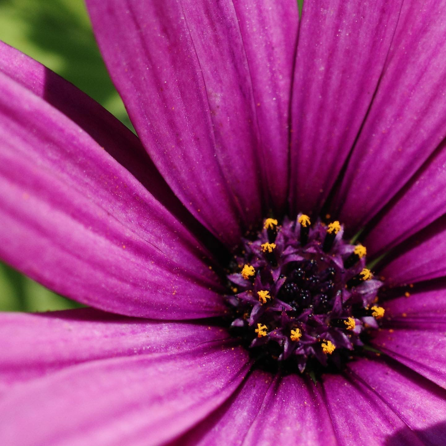 Newport Beach, California