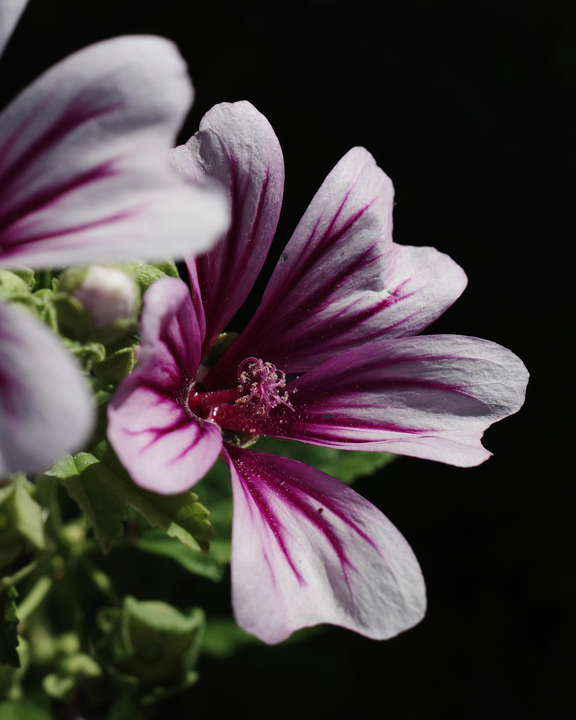 Newport Beach, California