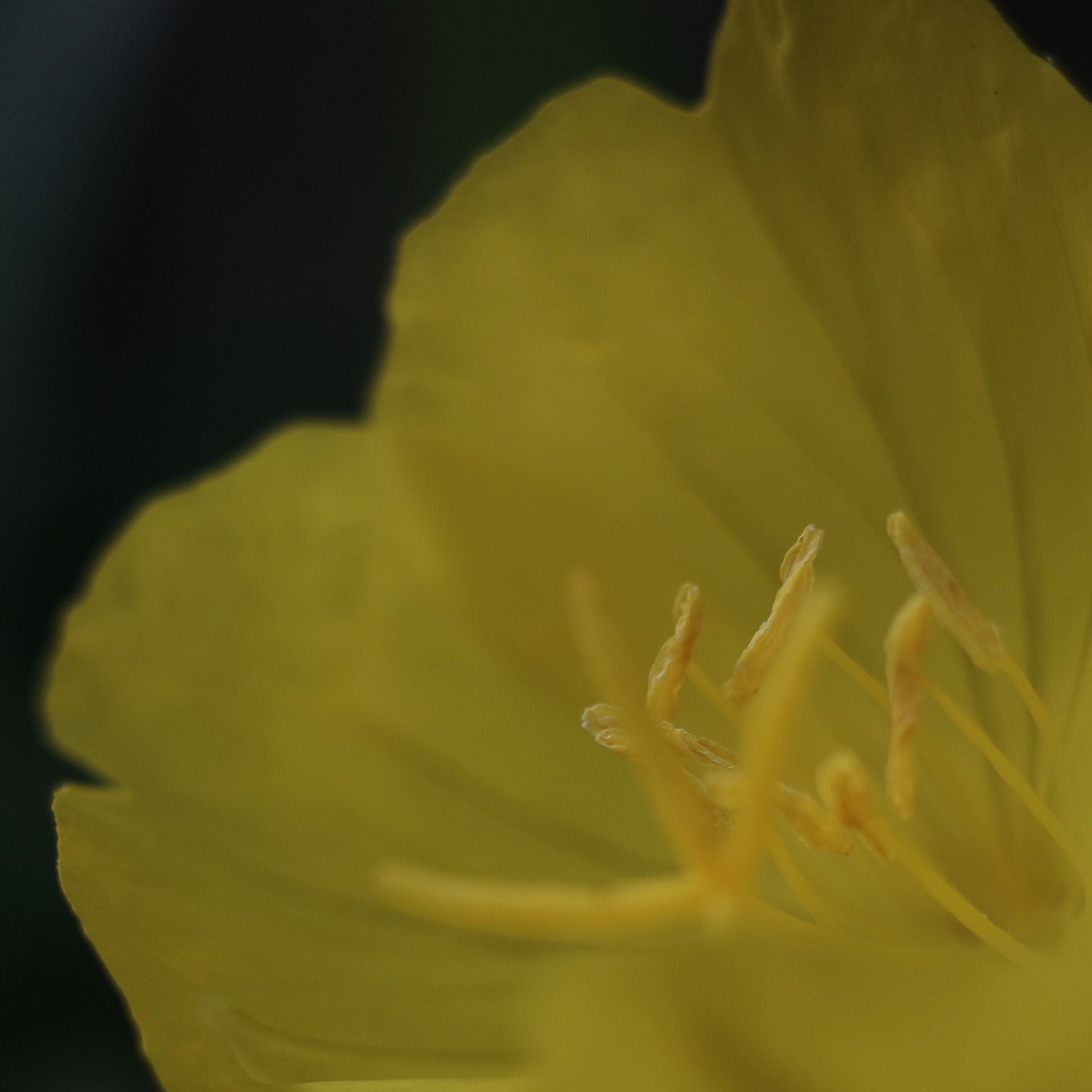 Newport Beach, California