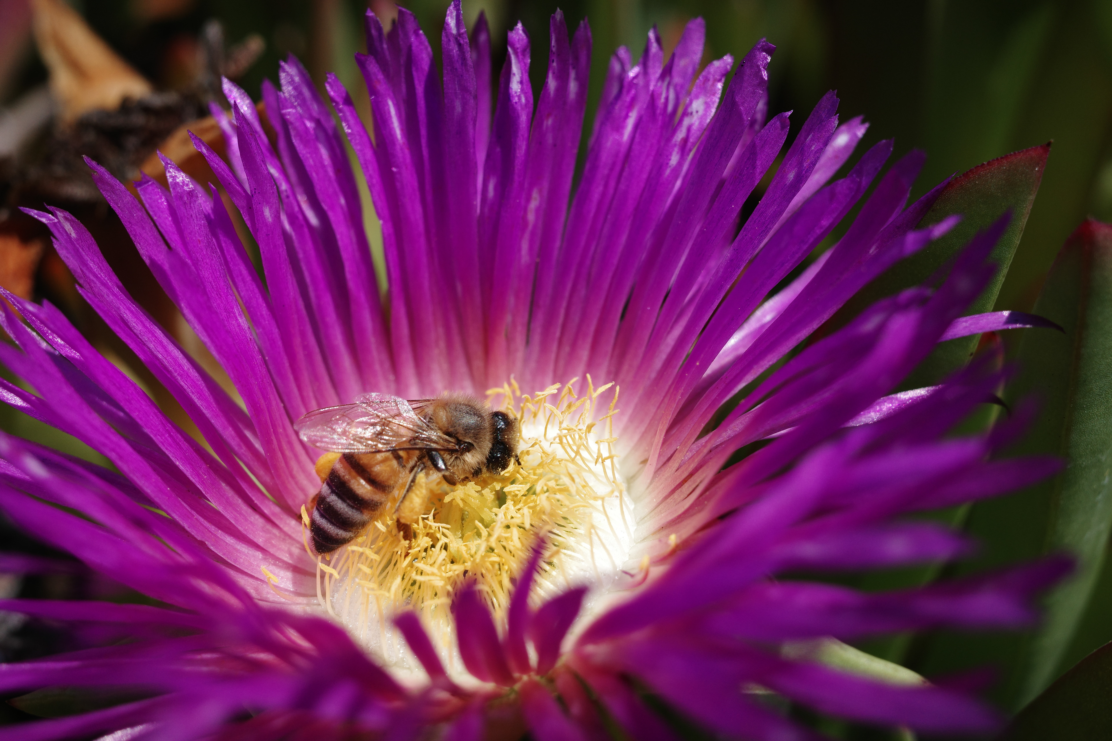 Newport Beach, California
