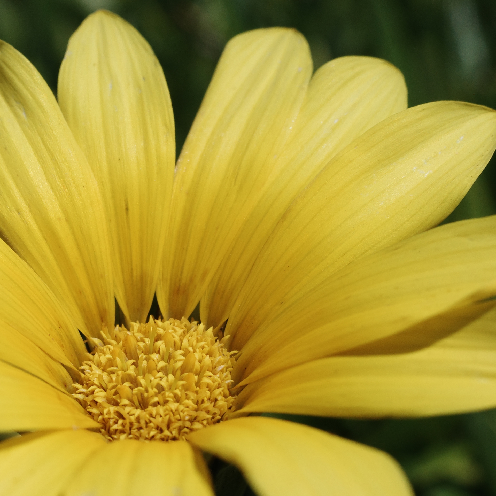 Newport Beach, California