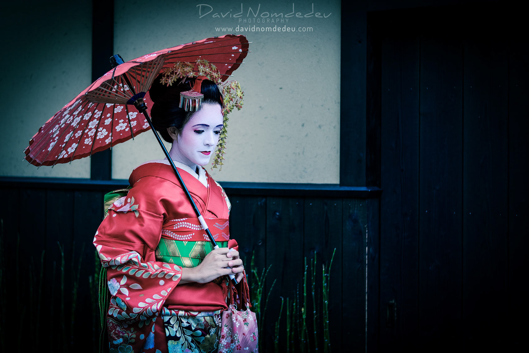 Mysterious Geisha 3