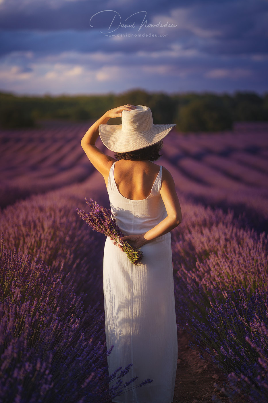 Lady on Lavender Fields