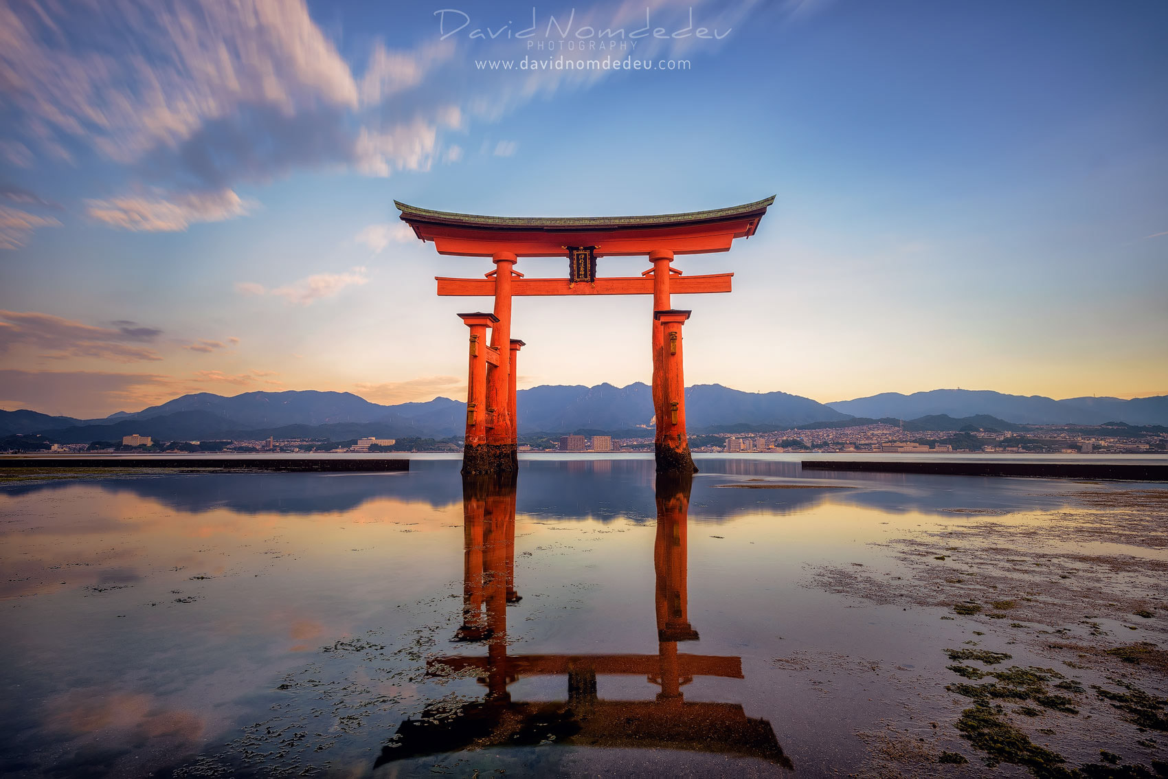 O-Torii sunrise