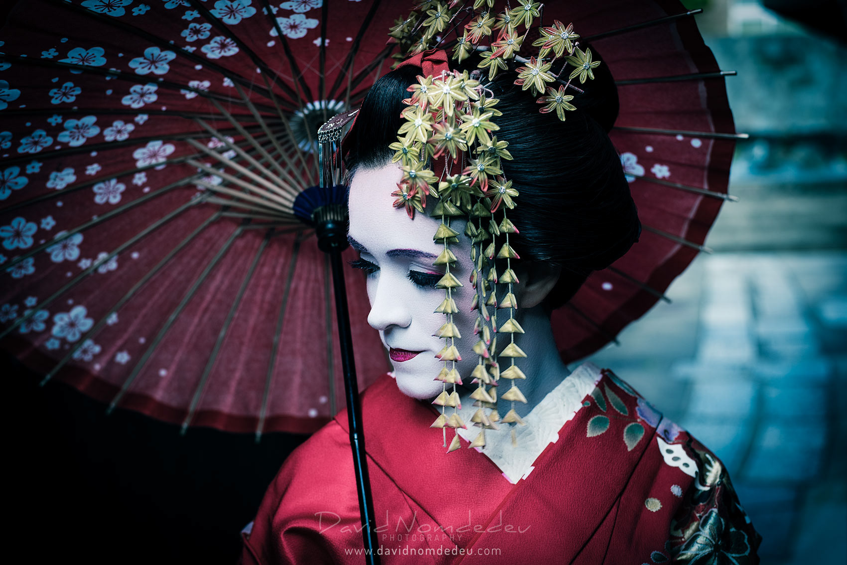 Mysterious Geisha 1