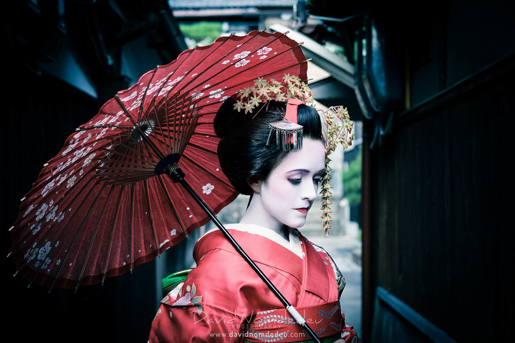 Mysterious Geisha 2
