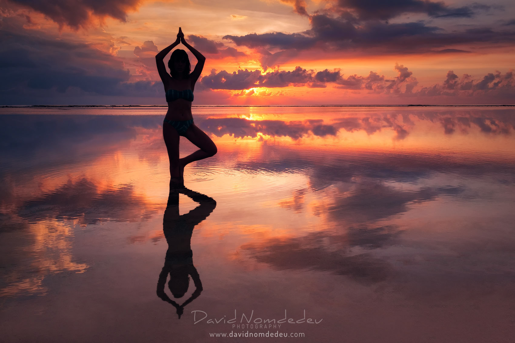 Vrikshasana sunset