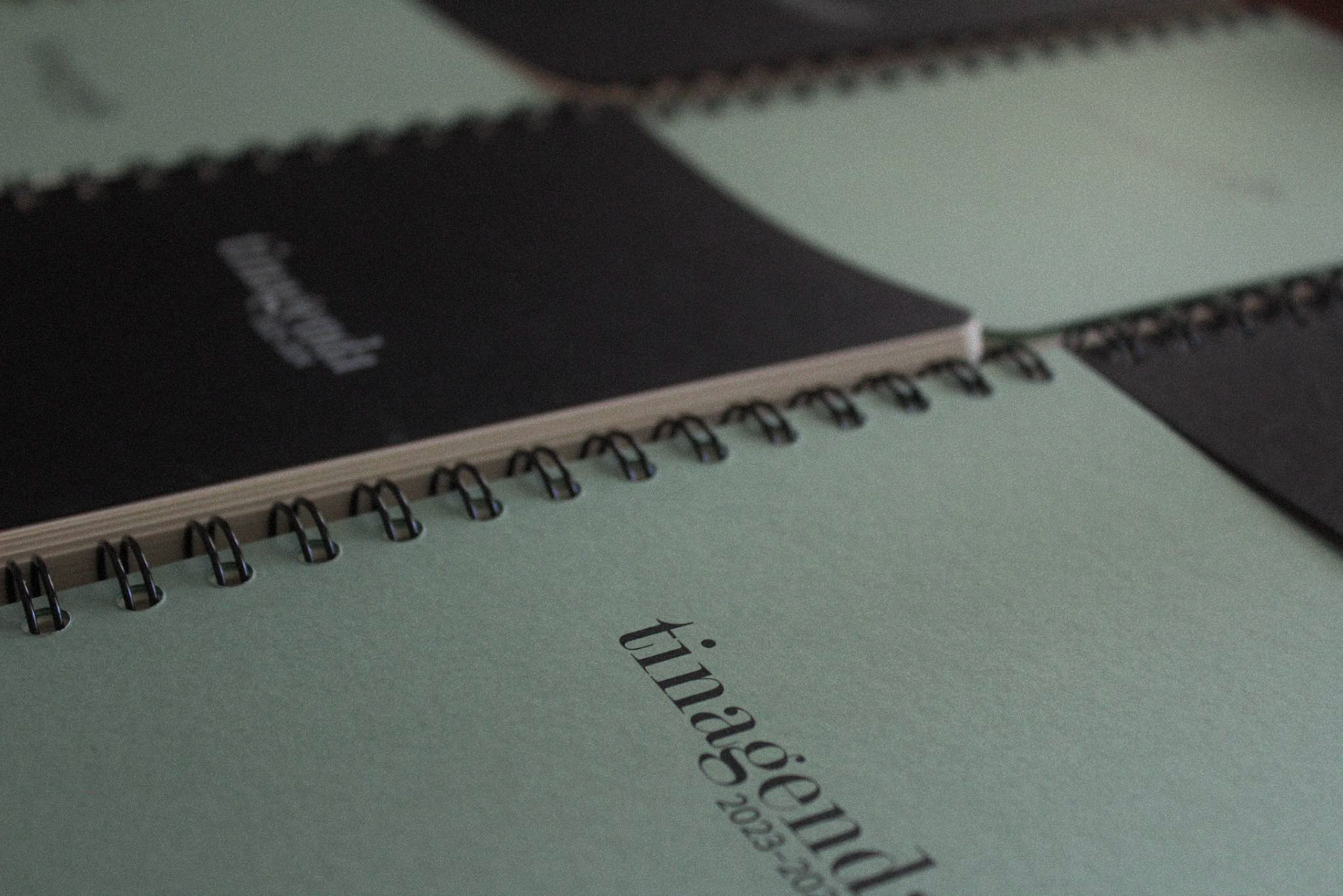 Tinagendas in black and mint green, both colors chosen by the customers