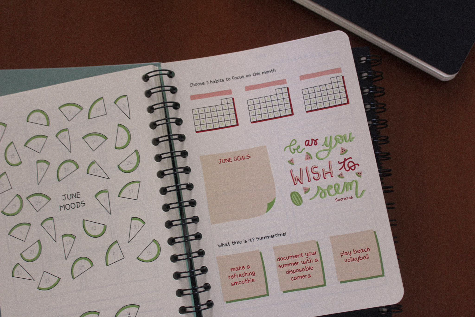 June mood tracker, habit trackers, goals, inspirational quote and activities