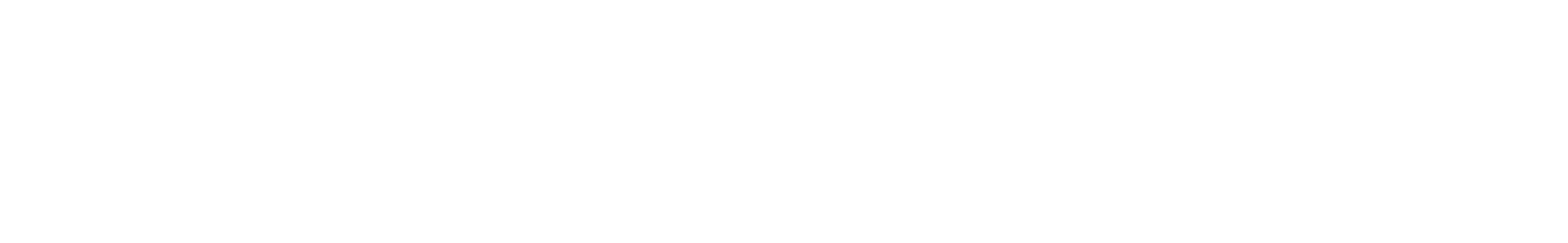 Nick Libertucci Graphic Designer Logo