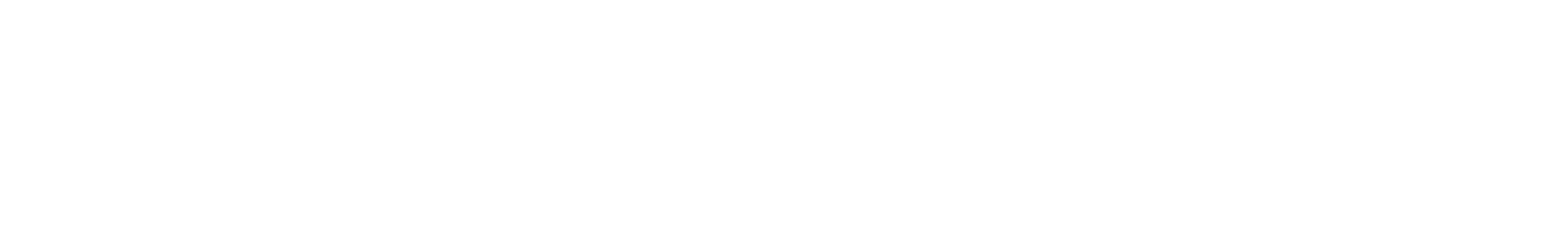 Nick Libertucci Graphic Designer Logo