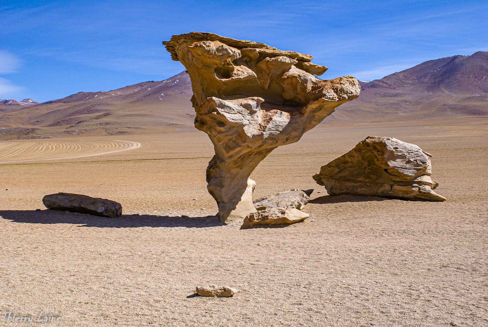 Arbre de pierre - Désert d'Atacama - Chili 2007