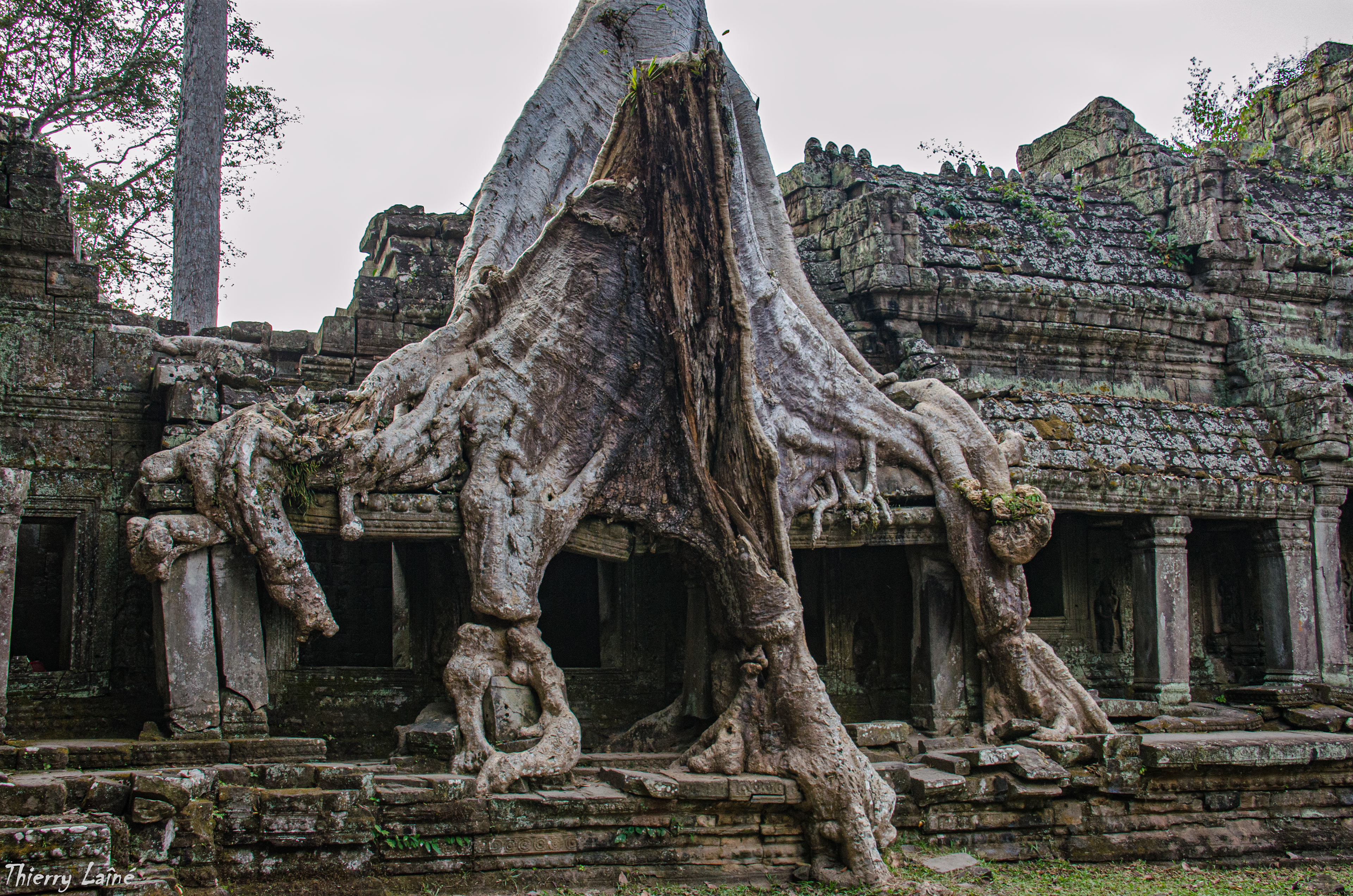 Preah Khan - Siem Reap - Cambodge 2013