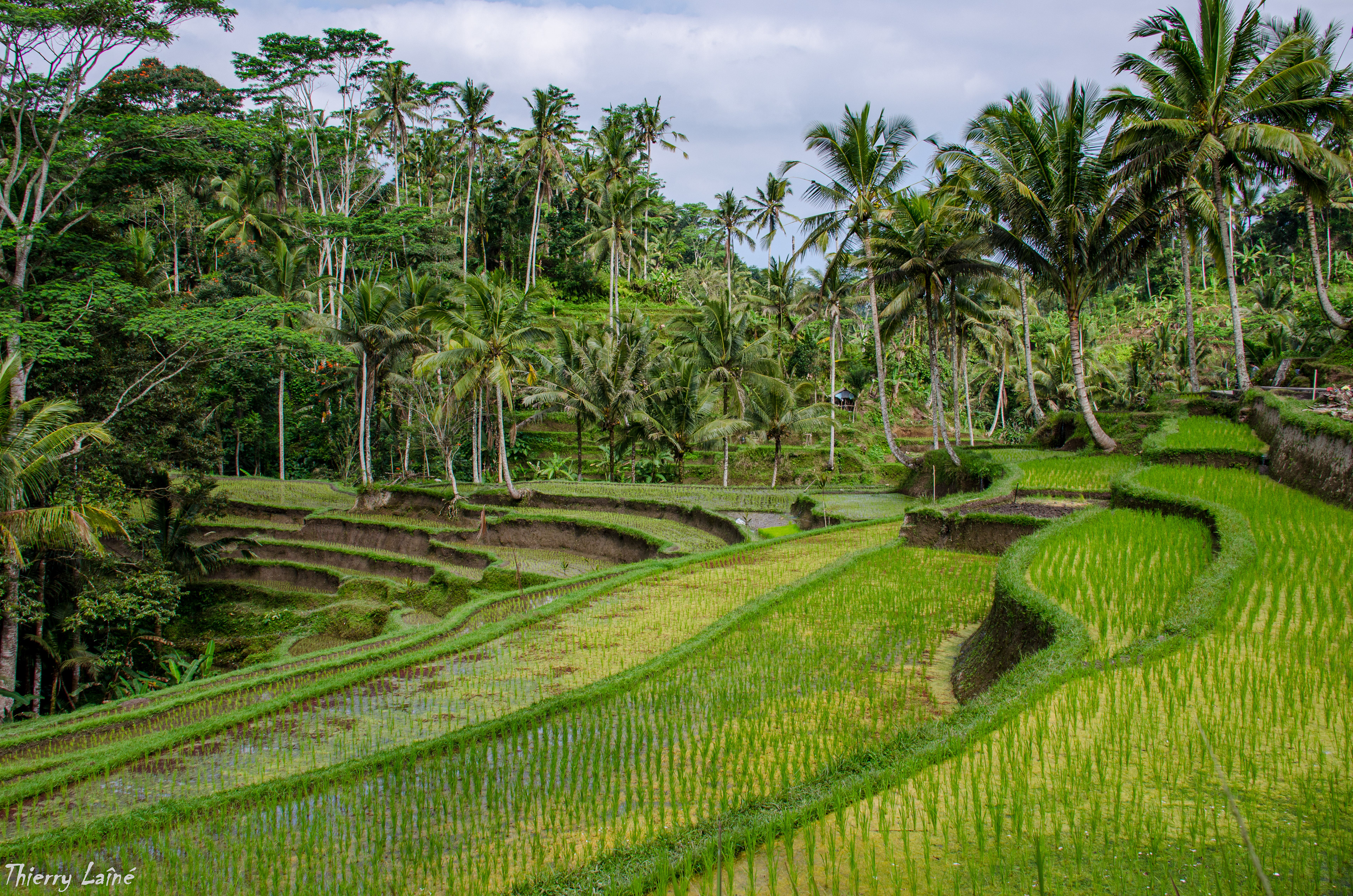 Bali - Indonésie 2014