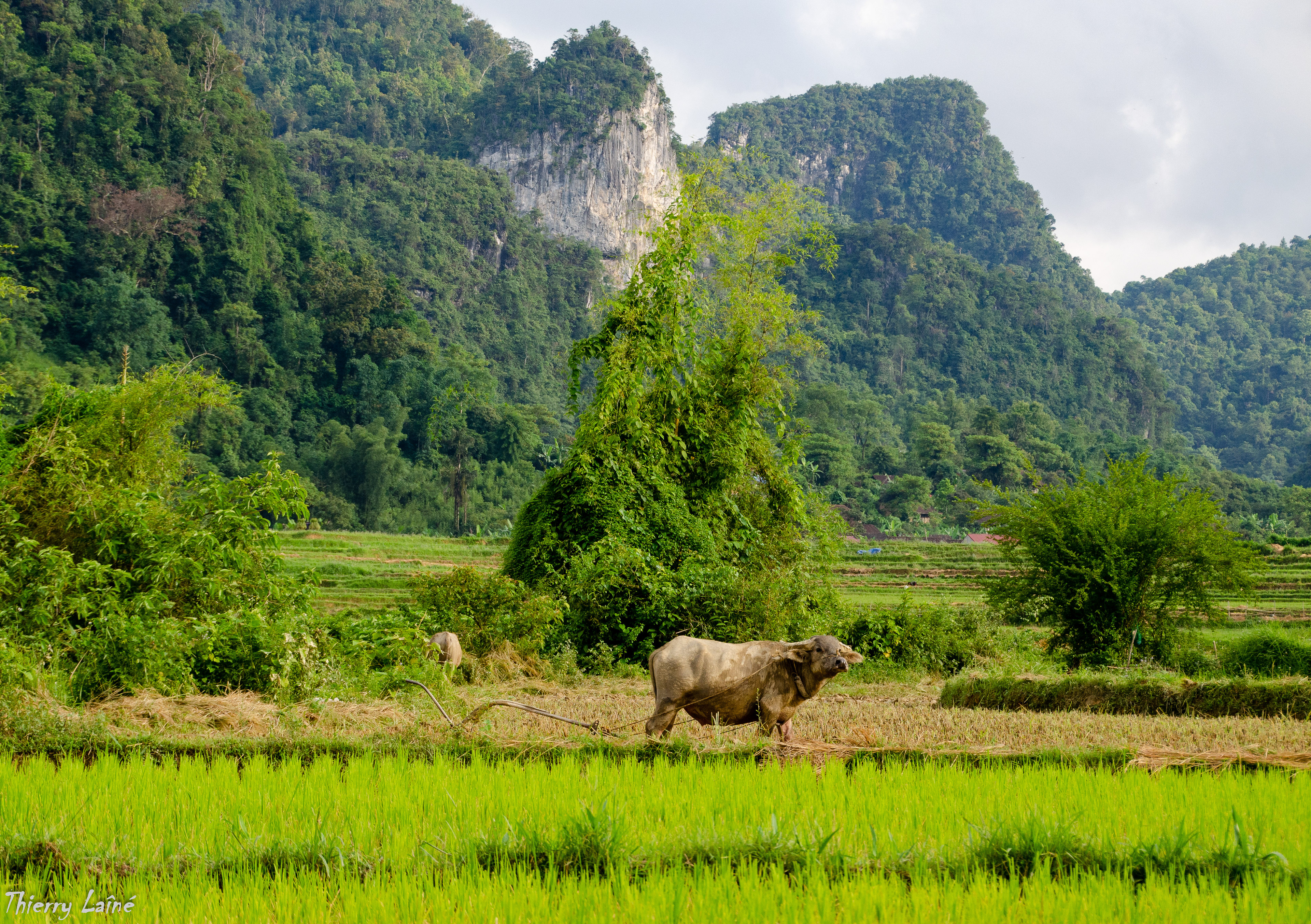 Province de Cao Bang - Vietnam 2012