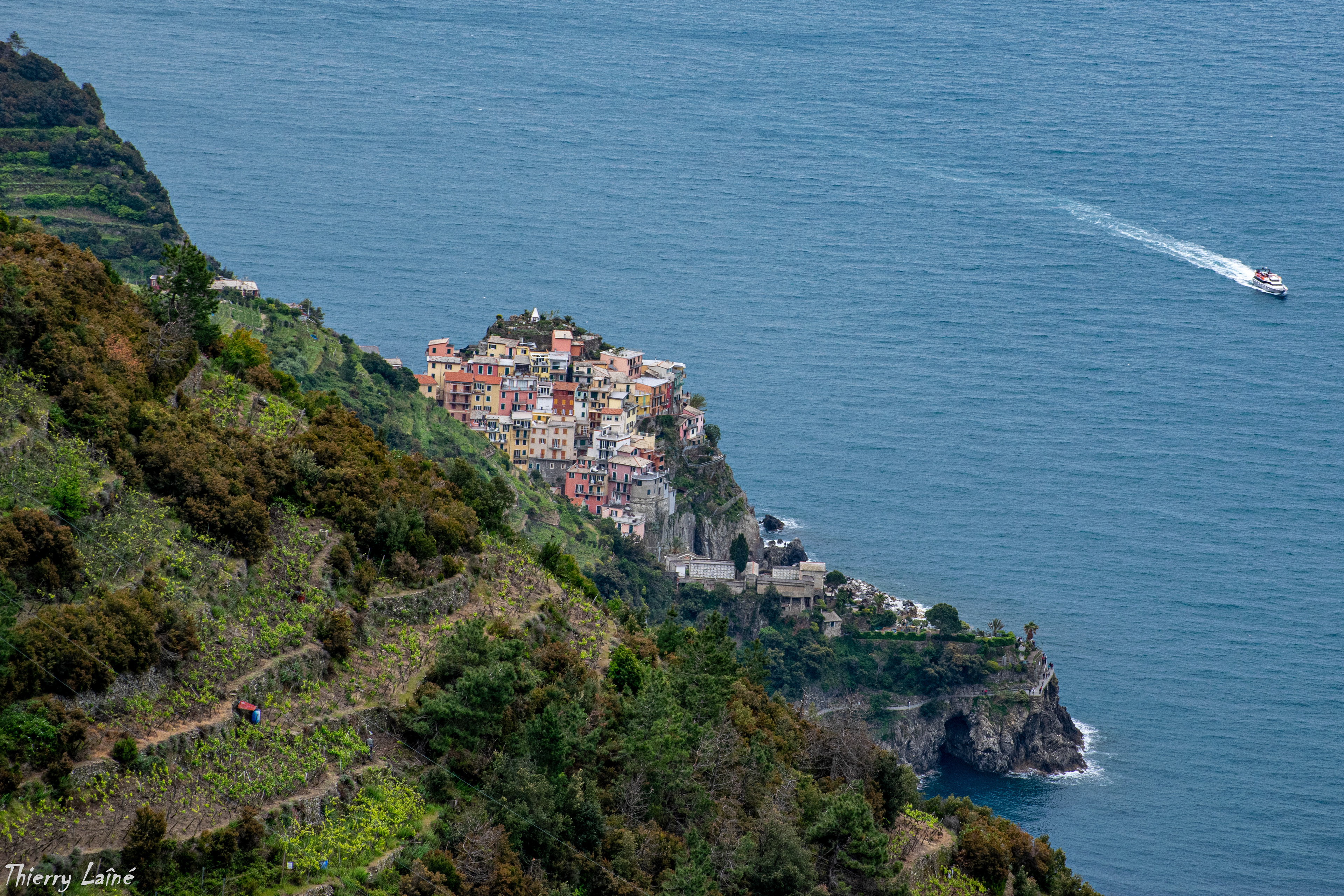 Corniglia - 2019
