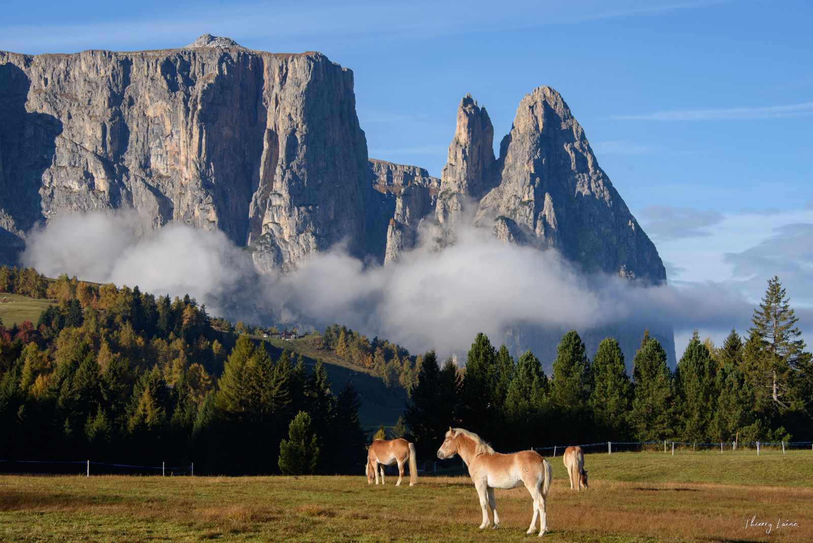 Alpe di Suisi : Seiser Alm