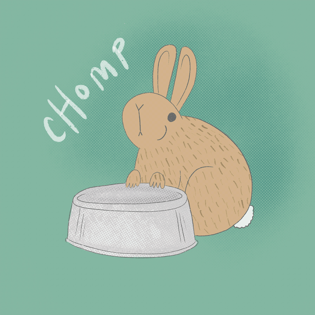 Chomp. Personal project