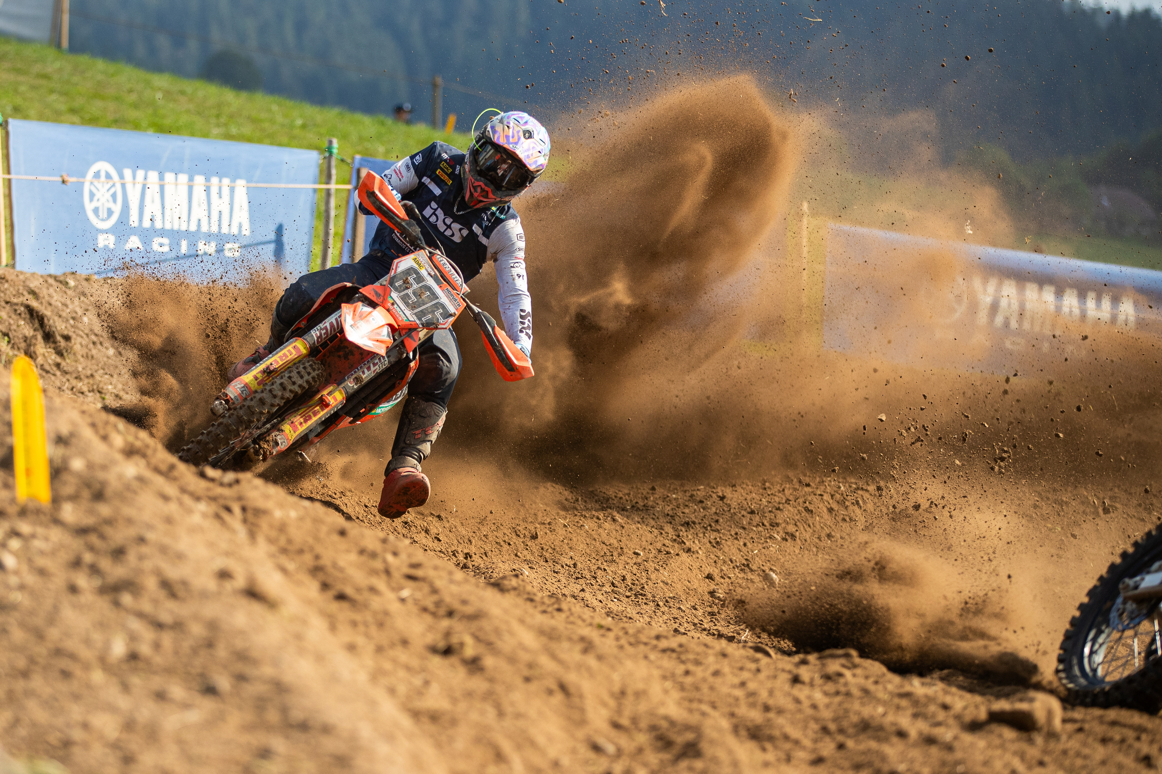 Mike Gwerder, Linden 2025