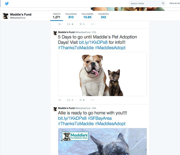 Maddie's Fund Annual Pet Adoption Days - Social Media Post