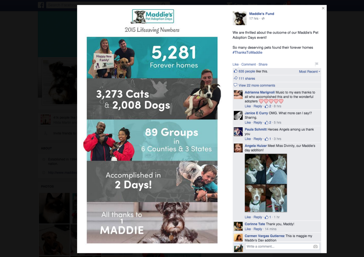 Infographic: Maddie's Fund Annual Pet Adoption Days - Social Media Post