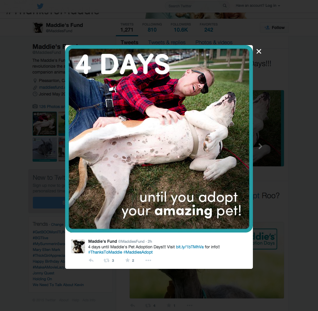 Maddie's Fund Annual Pet Adoption Days - Social Media Post