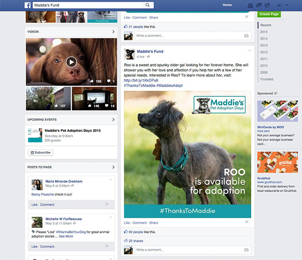 Maddie's Fund Annual Pet Adoption Days - Social Media Post