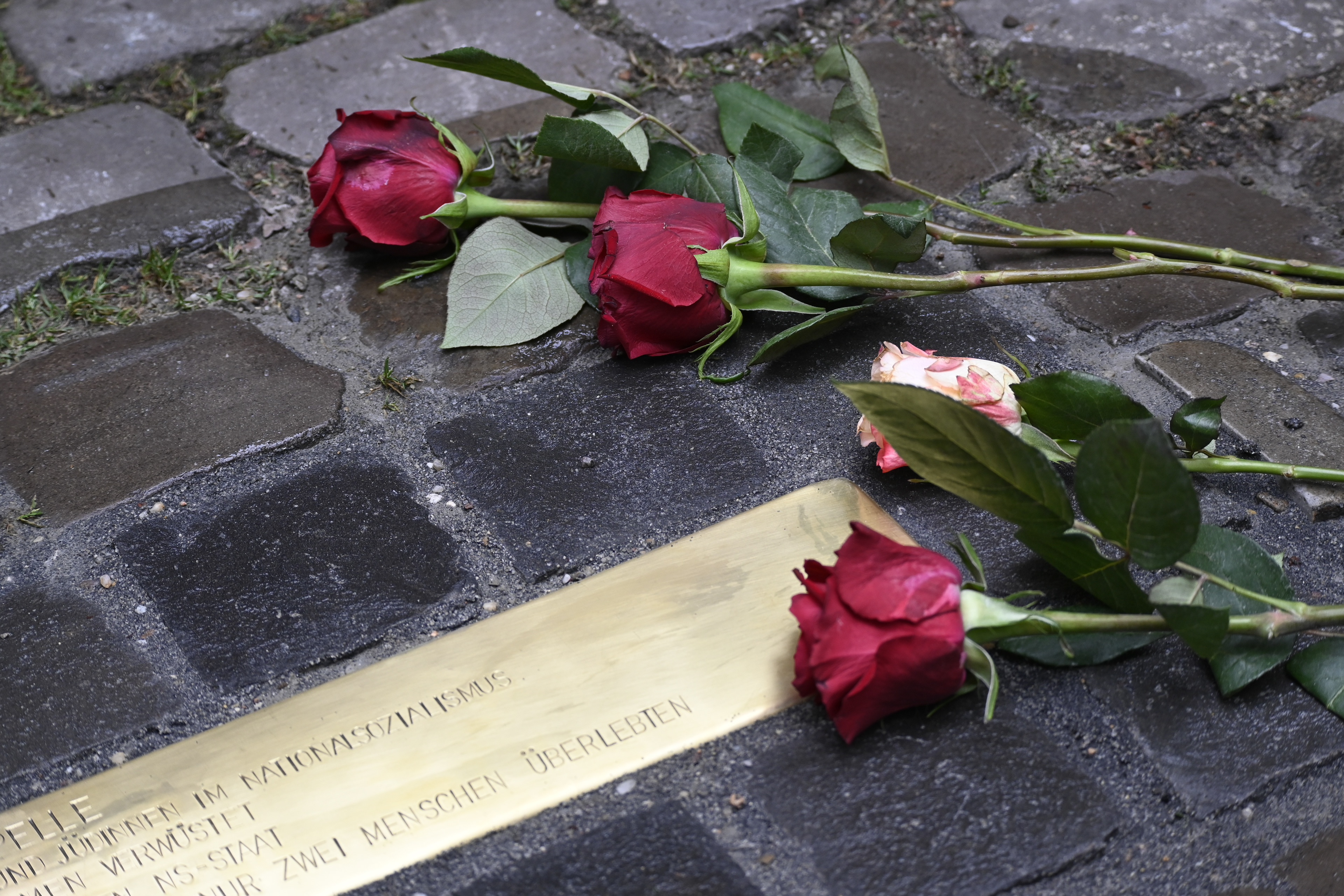 Stolperschwelle, Kastanienallee 22, Berlin Prenzlauer Berg